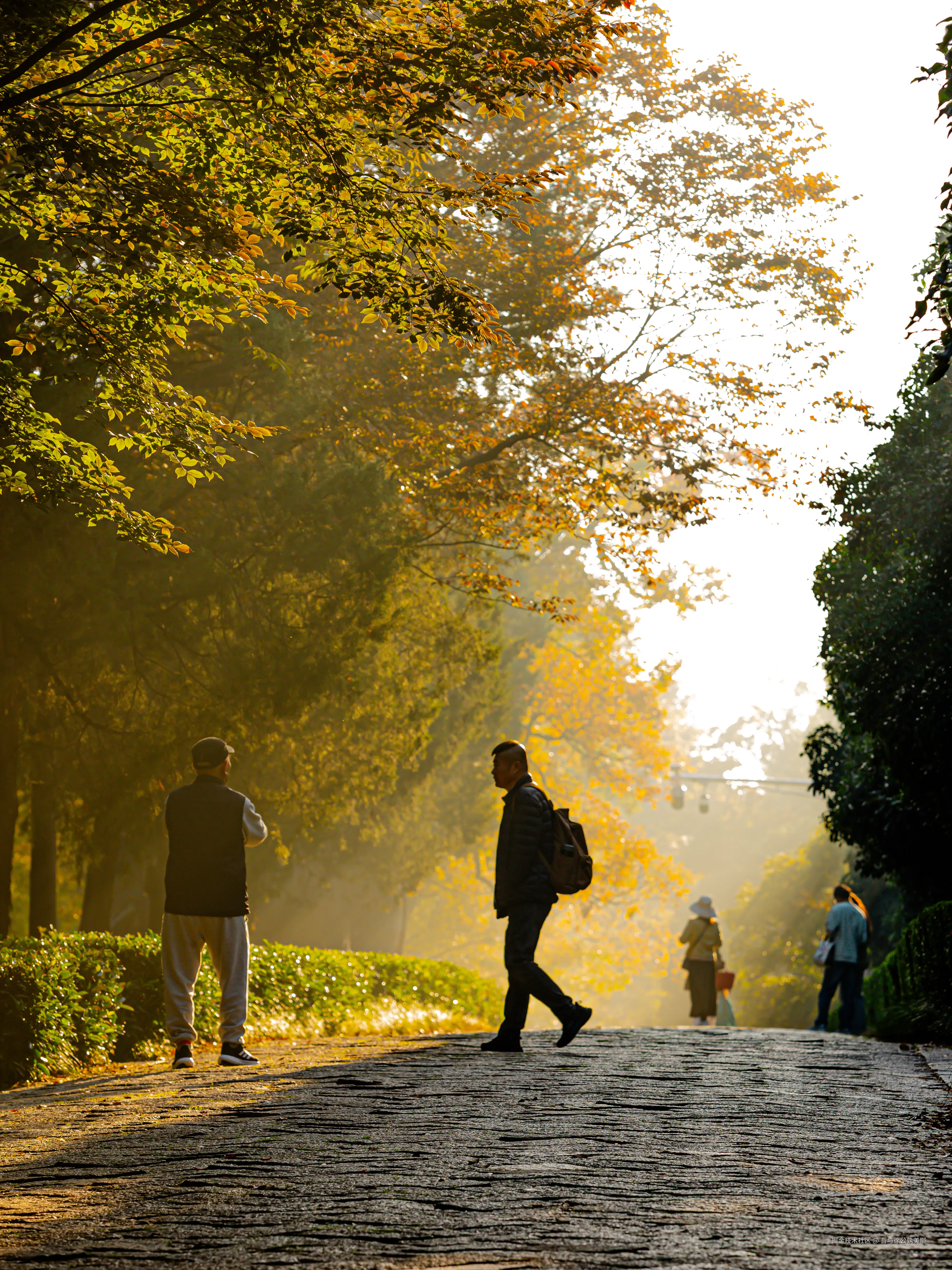 吾与徐公孰美耶于2024-11-05 10:05发布的图片