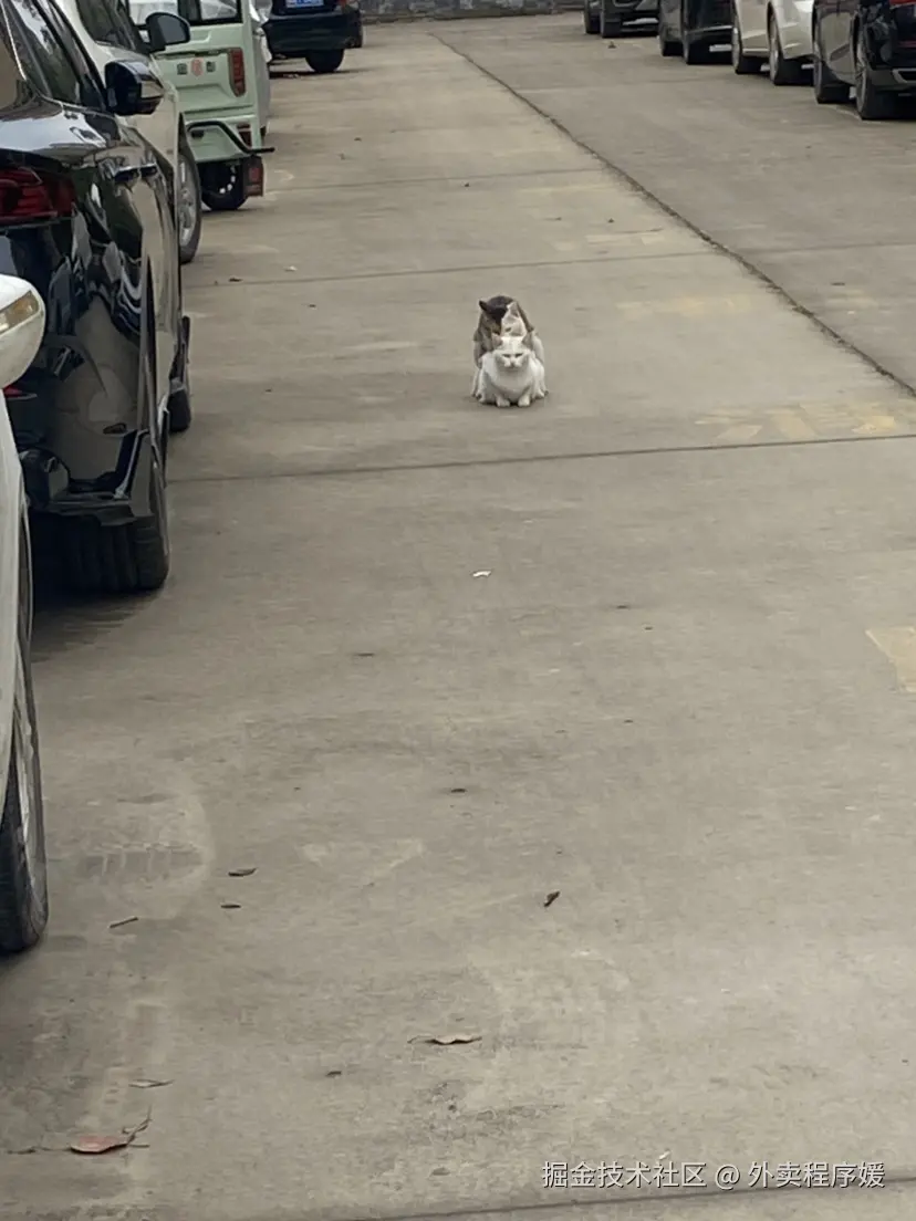 外卖程序媛于2026-04-09 15:19发布的图片