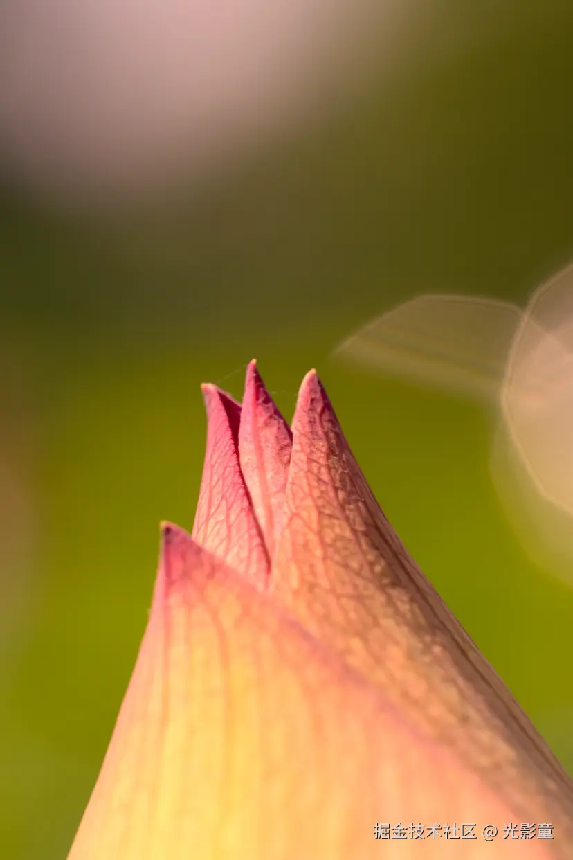 光影童于2025-06-30 06:43发布的图片