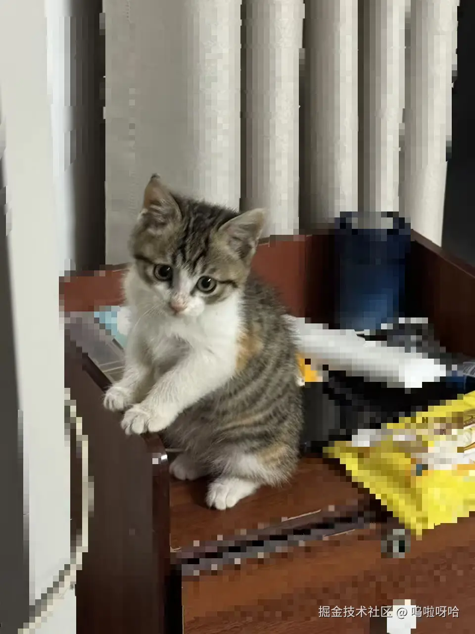 呜啦呀哈于2025-11-28 18:27发布的图片