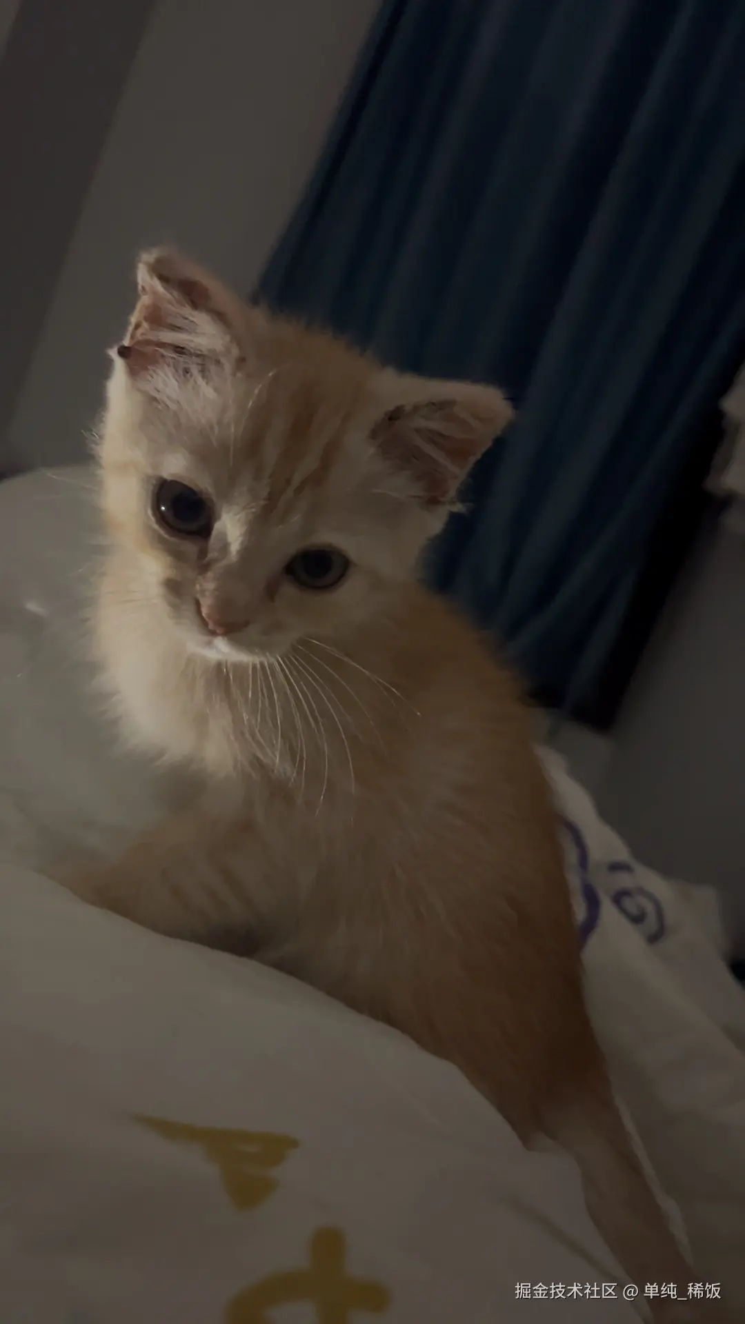 单纯_稀饭于2025-03-13 11:26发布的图片