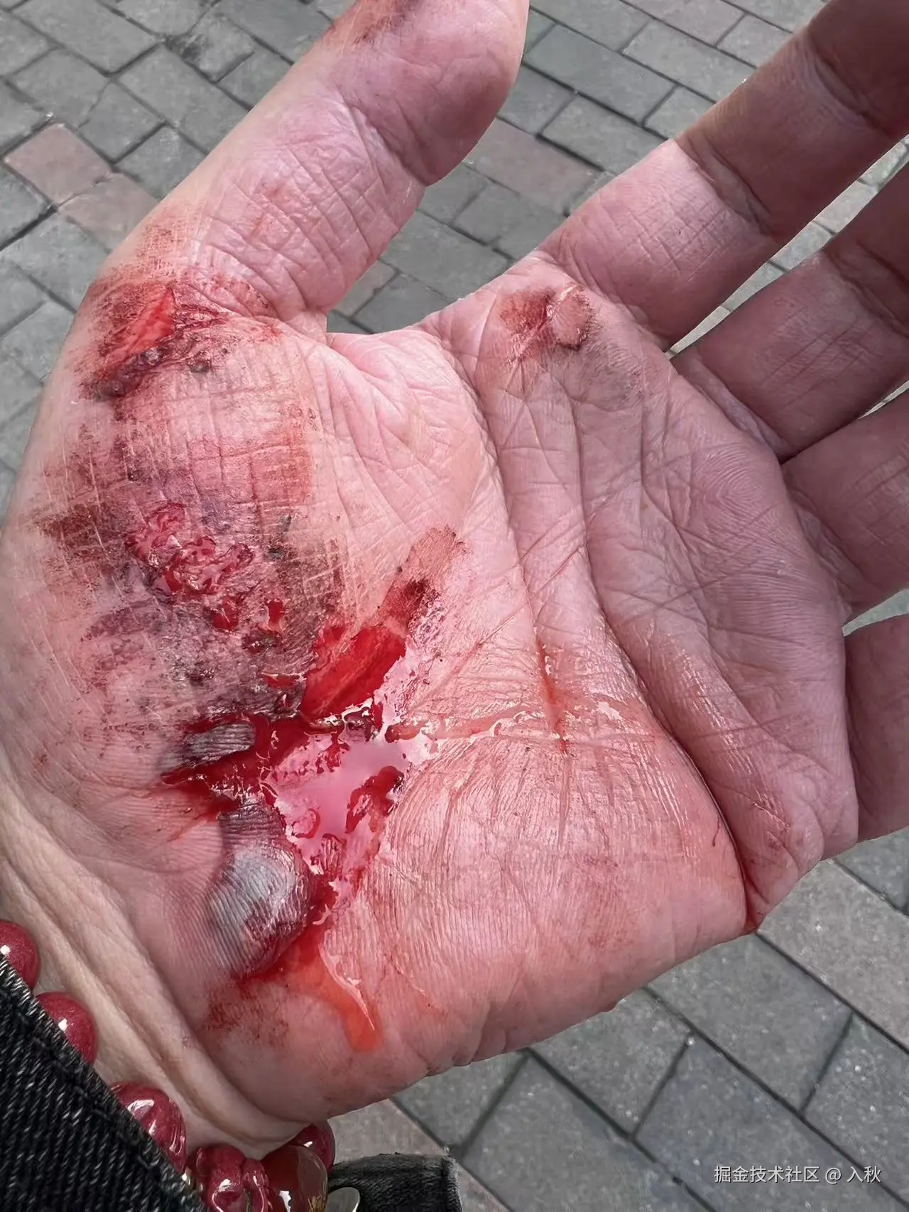 入秋于2026-02-02 13:42发布的图片