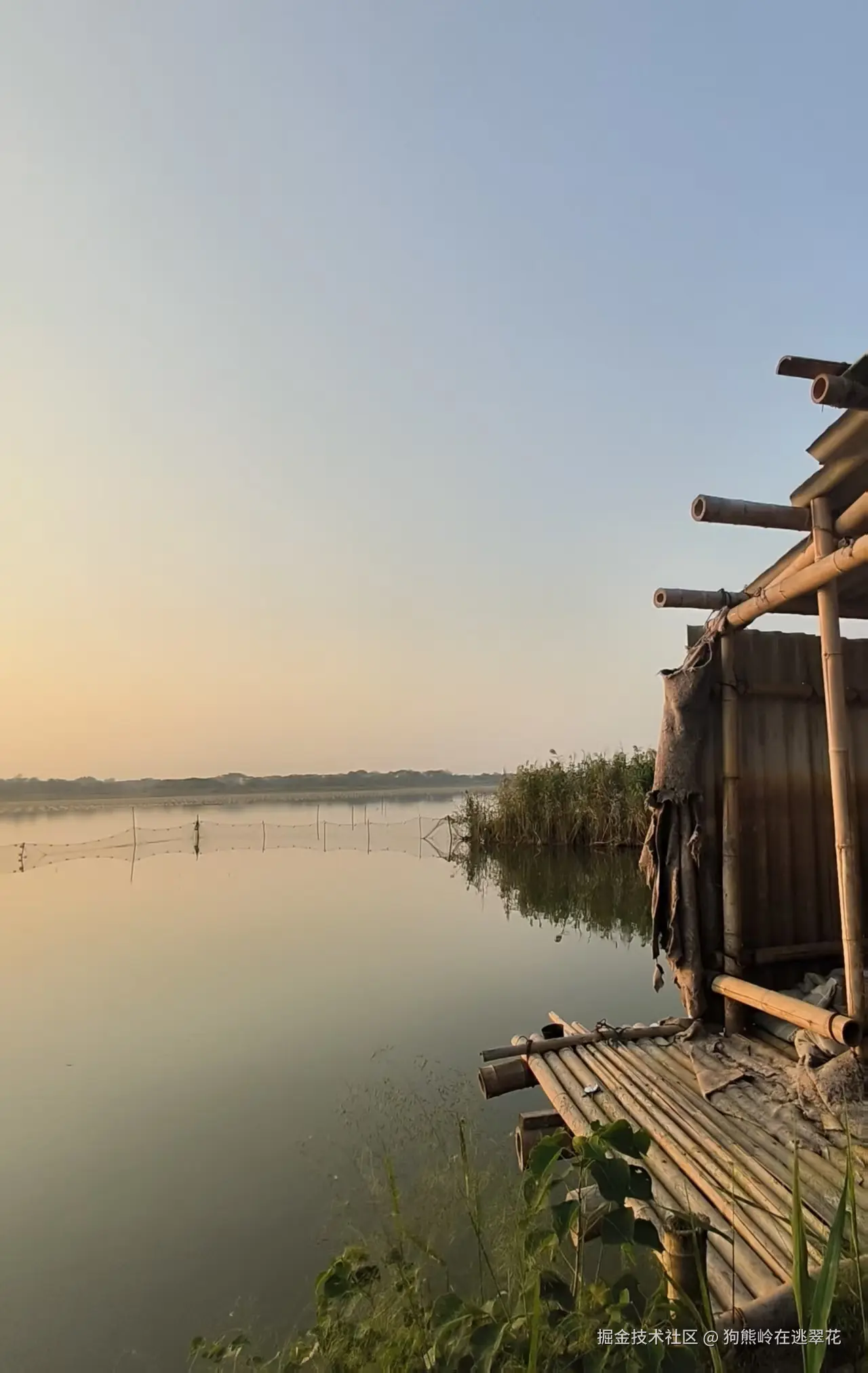 狗熊岭在逃翠花于2025-10-13 05:49发布的图片