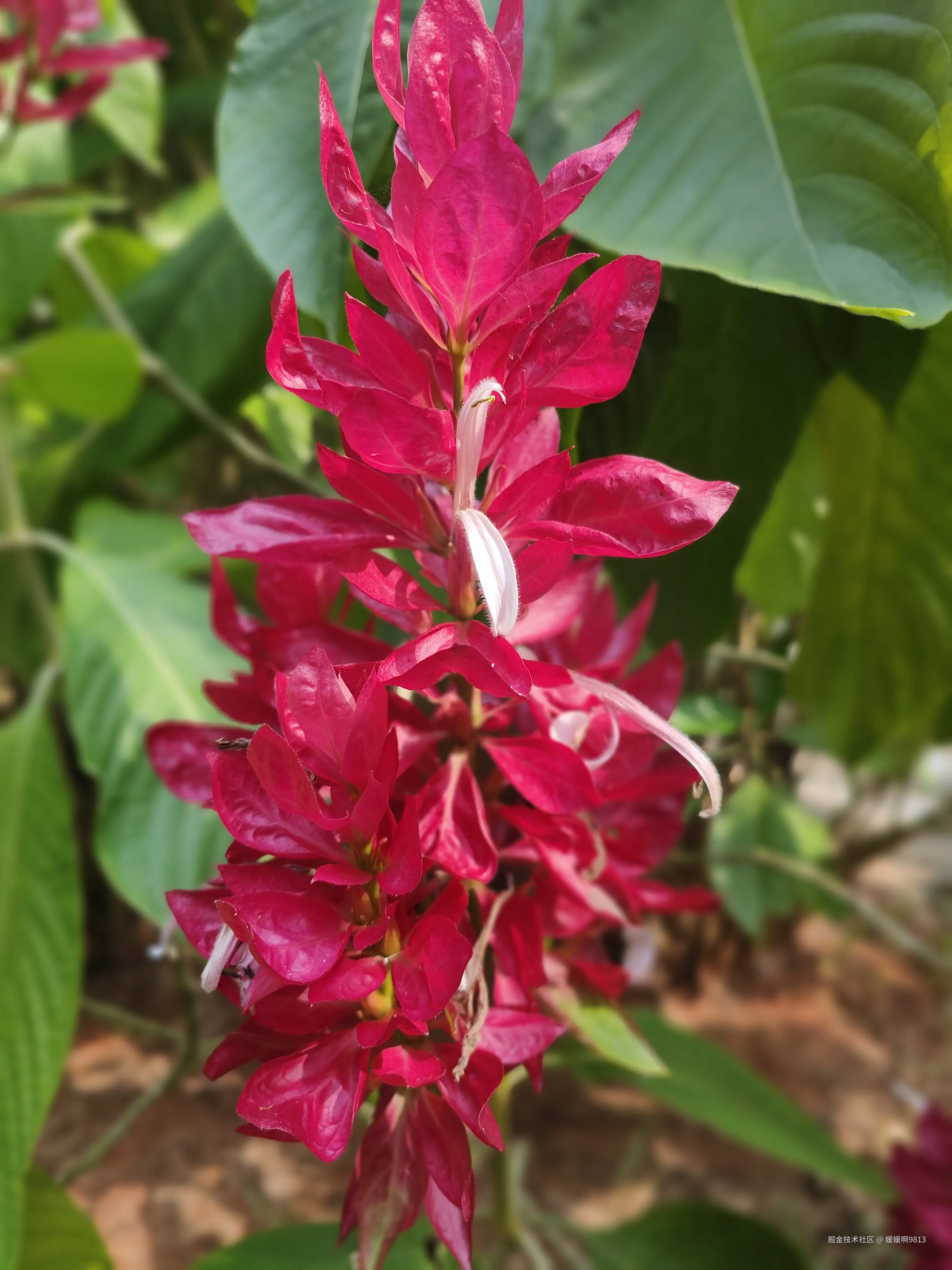 媛媛啊9813于2025-09-21 23:16发布的图片