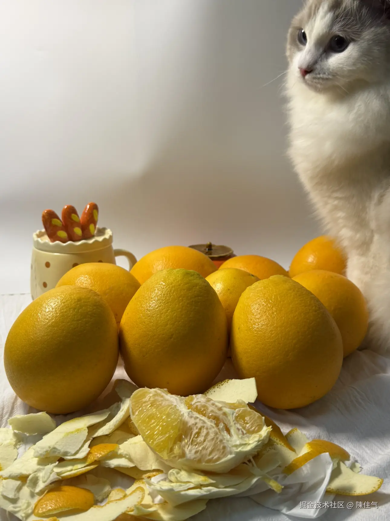 陳住气于2024-11-19 16:58发布的图片