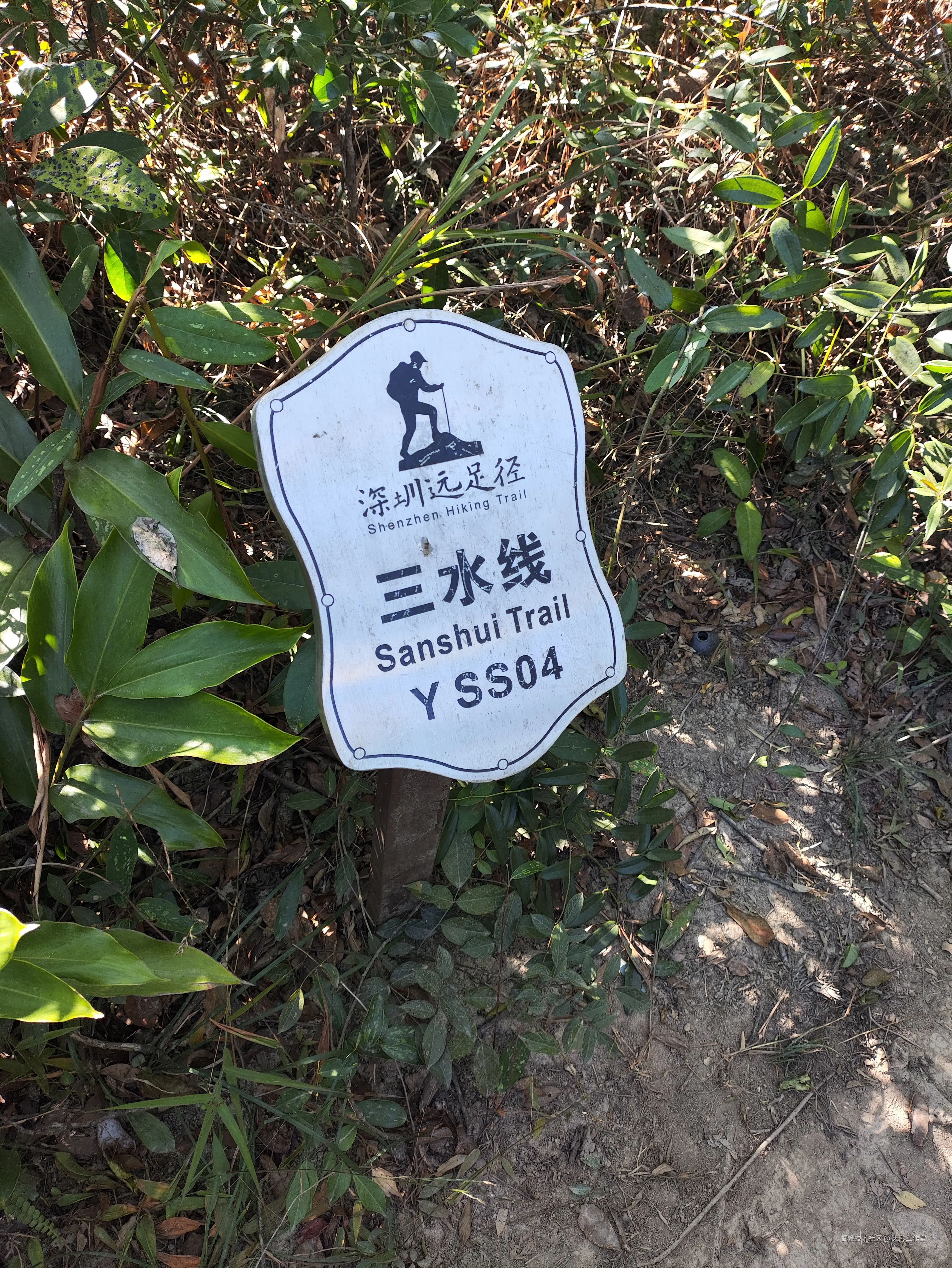 天渺工作室于2025-11-24 12:40发布的图片