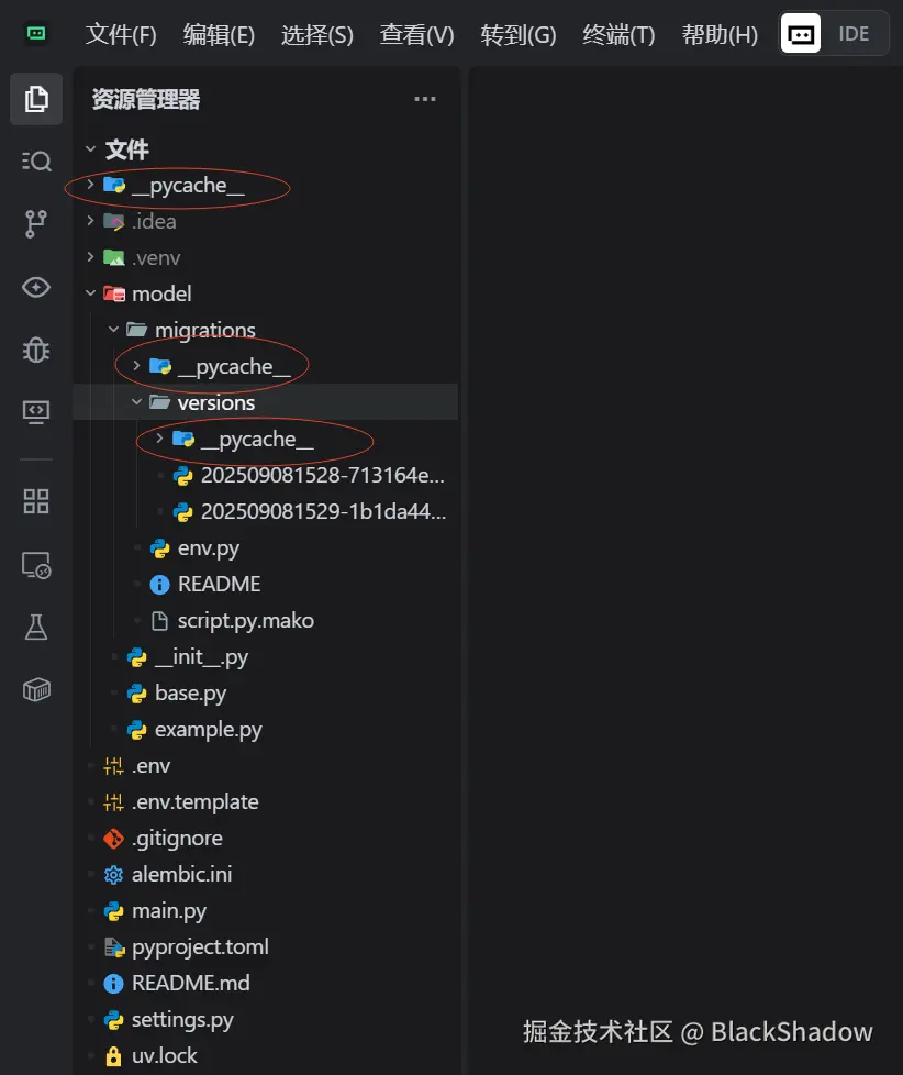 BlackShadow于2025-09-08 15:59发布的图片