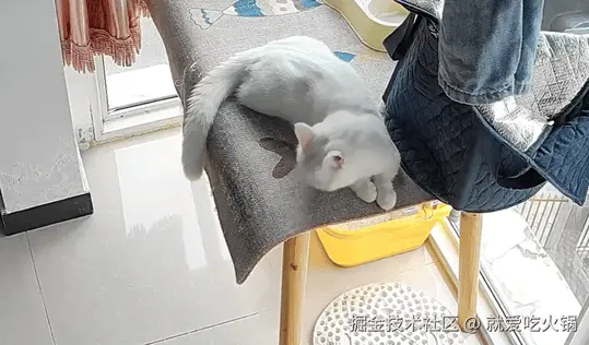 就爱吃火锅于2025-09-29 12:18发布的图片