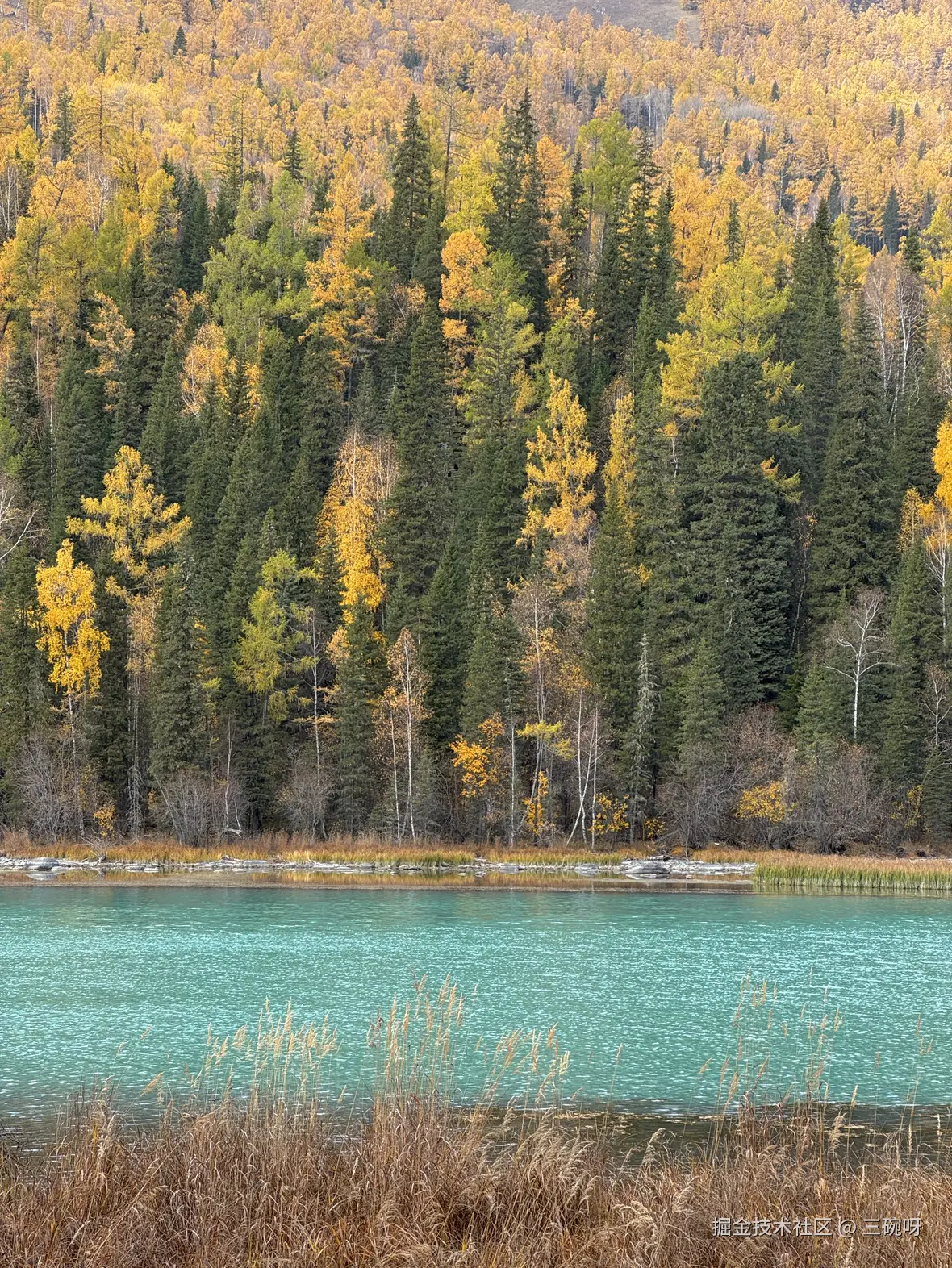 三碗呀于2025-10-22 13:55发布的图片