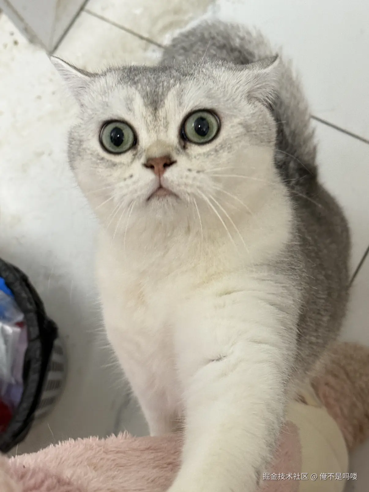 俺不是吗喽于2025-12-18 10:10发布的图片