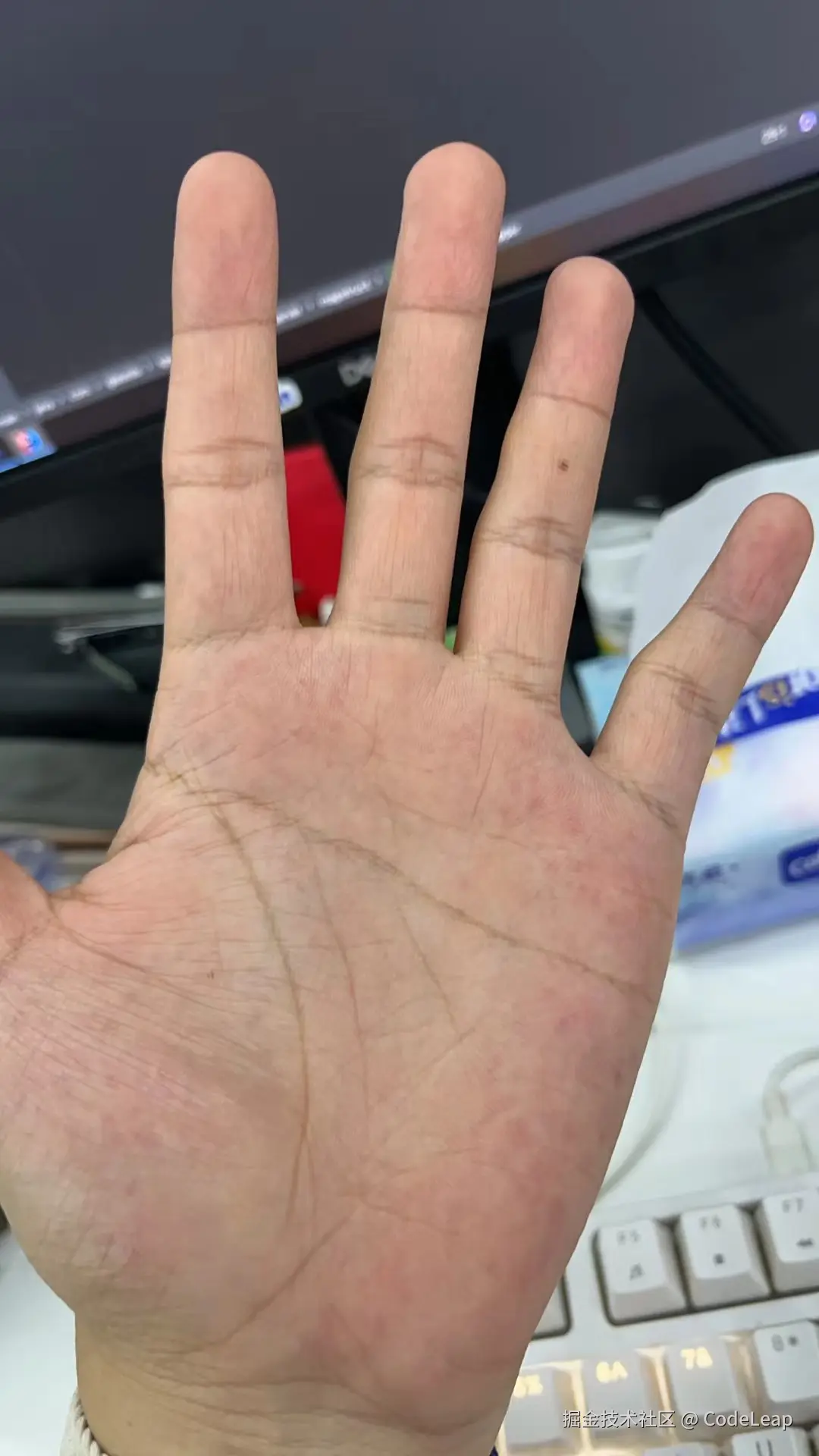 CodeLeap于2024-07-29 02:17发布的图片
