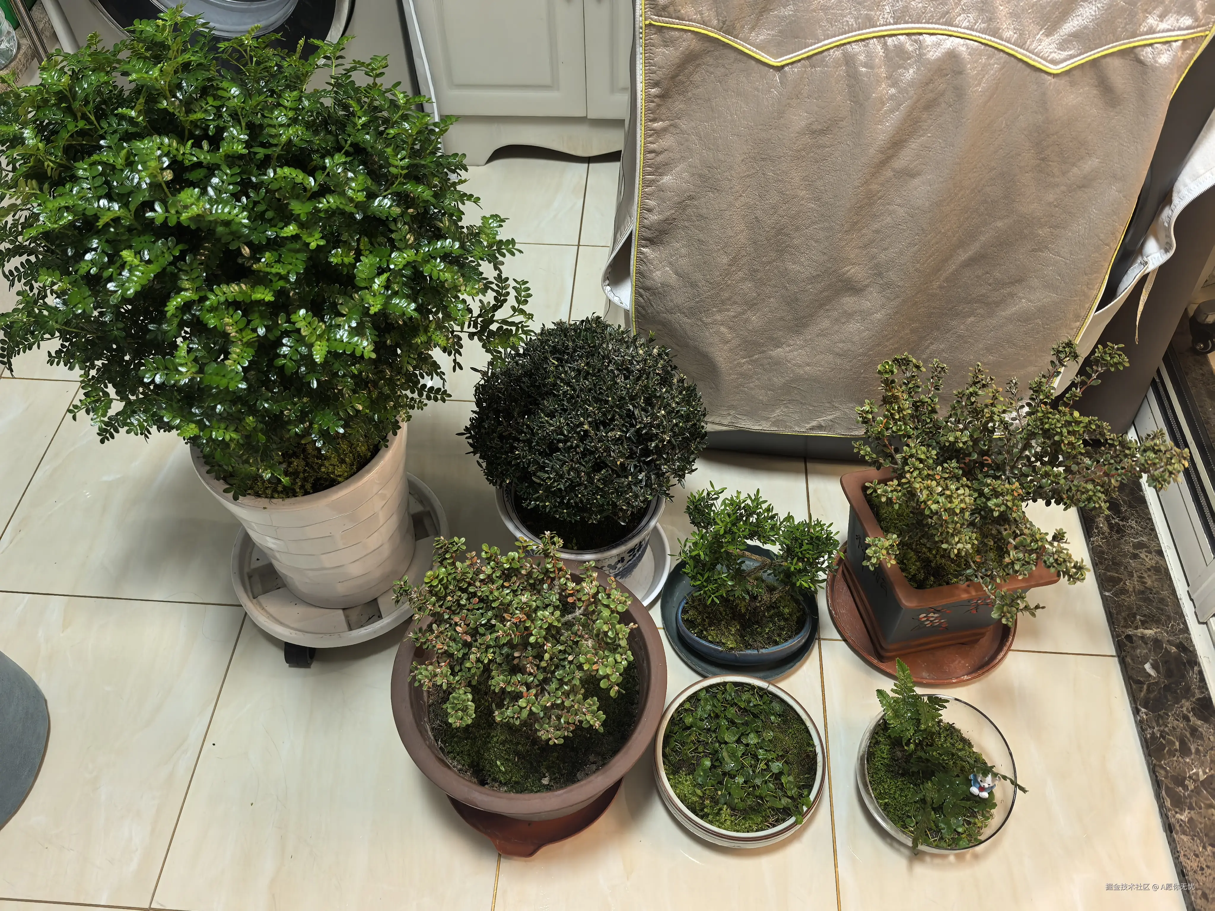 A愿你无忧于2026-03-20 22:58发布的图片