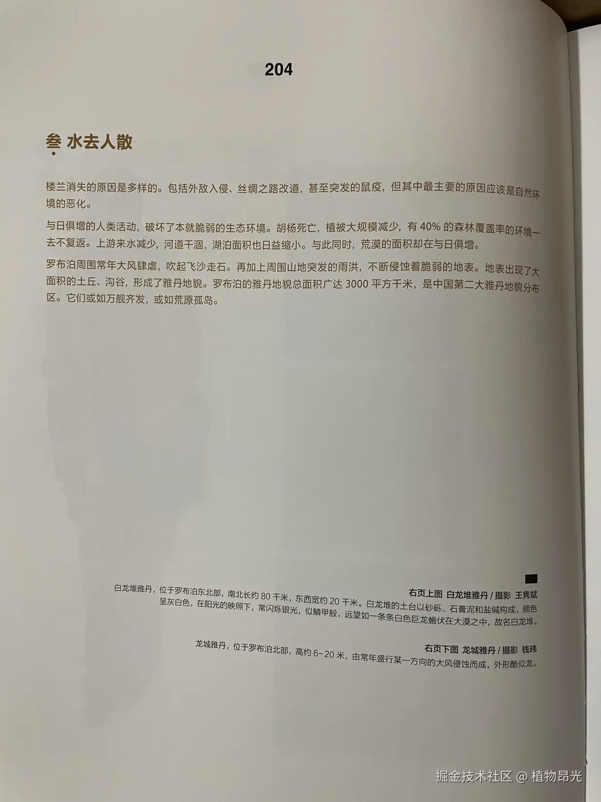 植物昂光于2026-03-22 16:53发布的图片