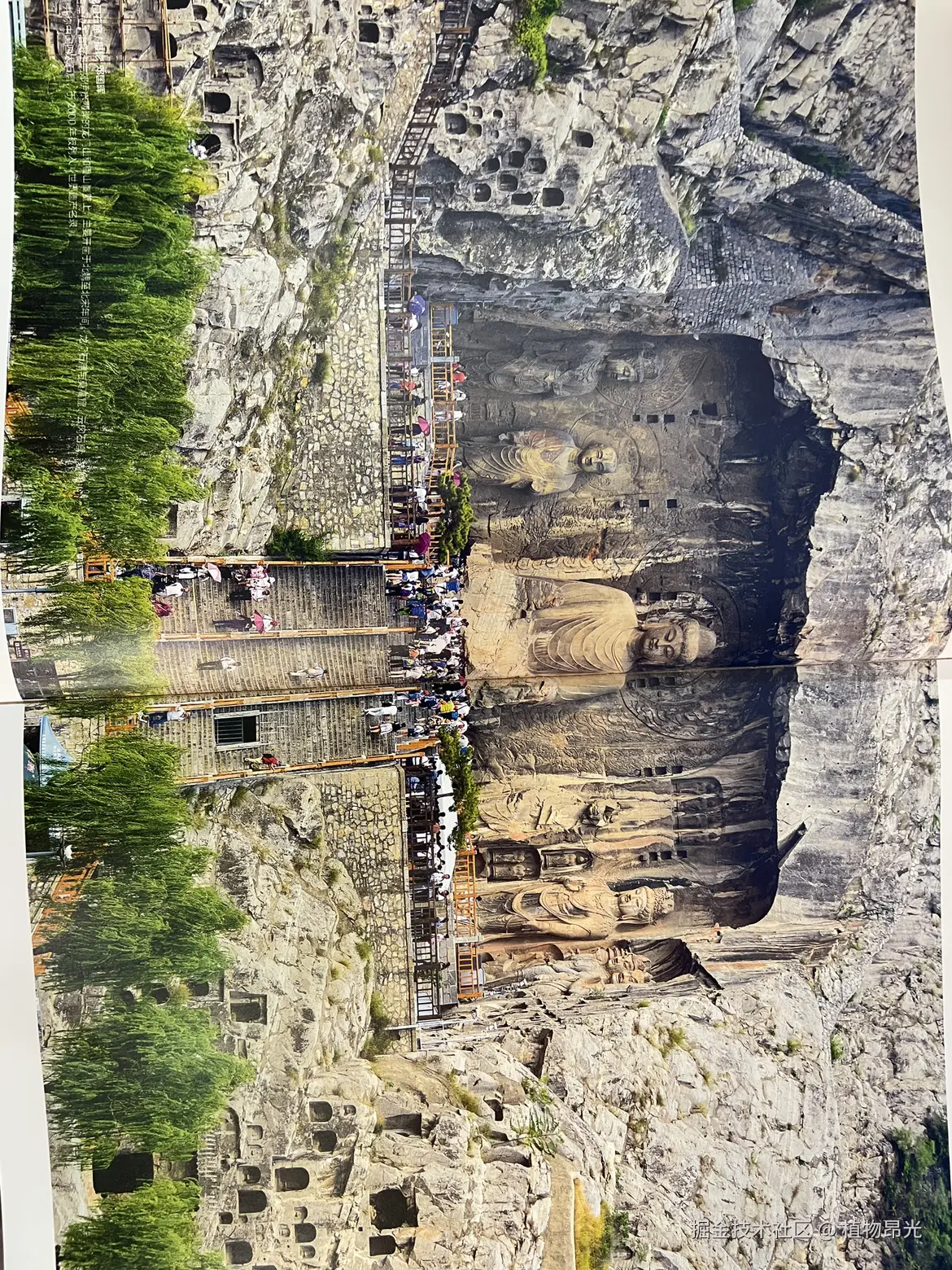 植物昂光于2026-04-11 11:48发布的图片