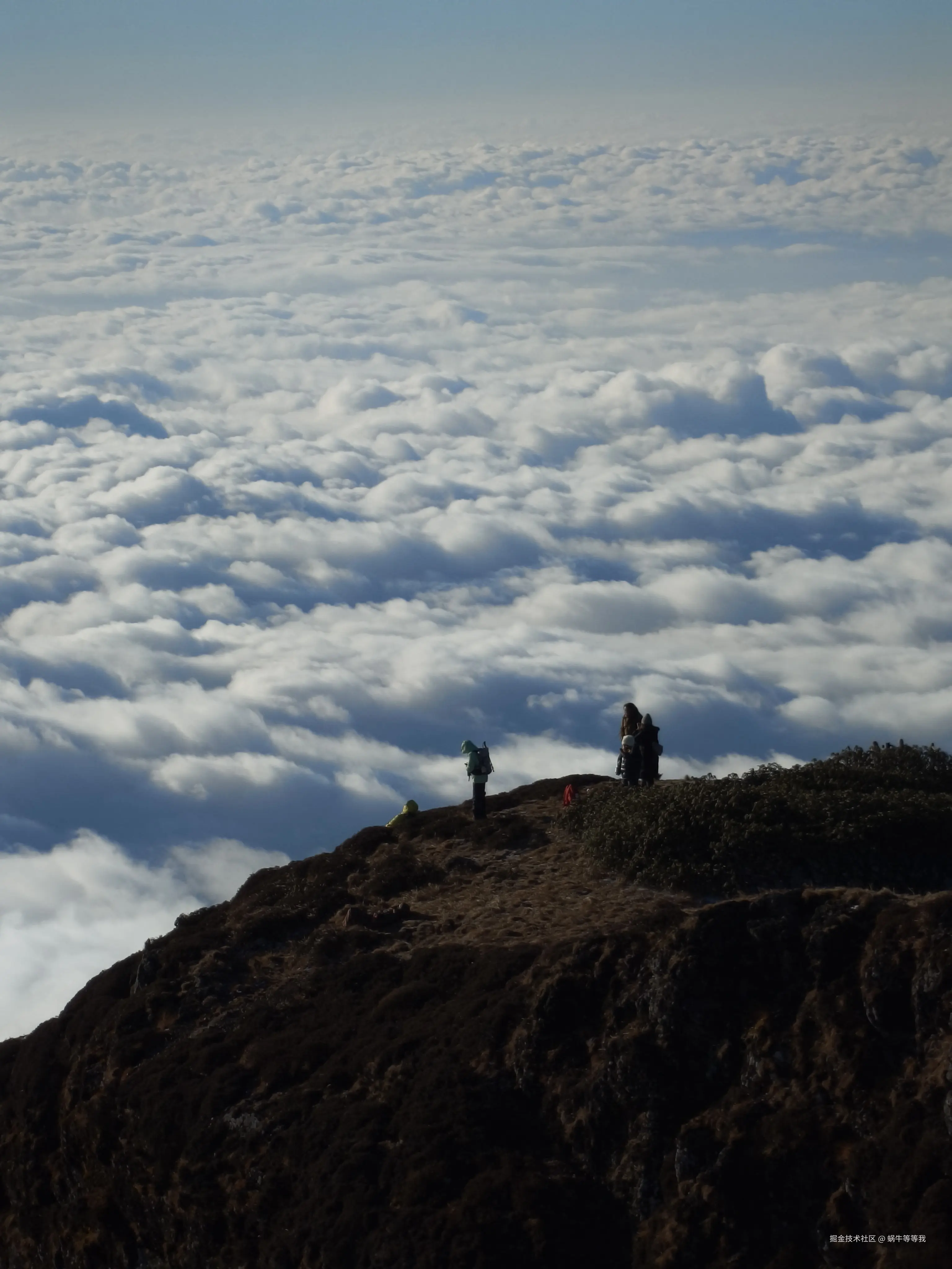 蜗牛等等我于2026-01-09 10:39发布的图片