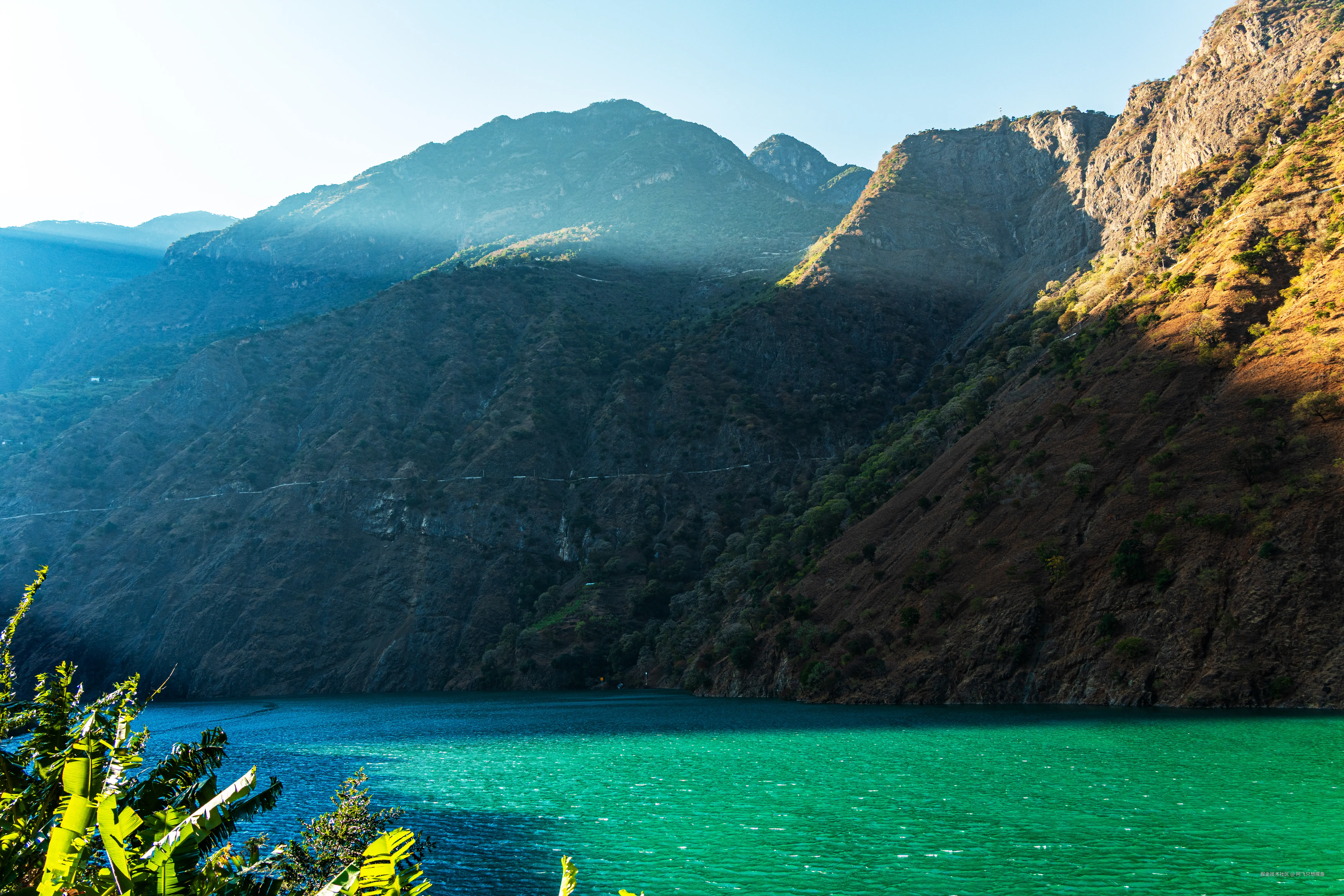 阿飞只想摸鱼于2026-02-11 14:46发布的图片