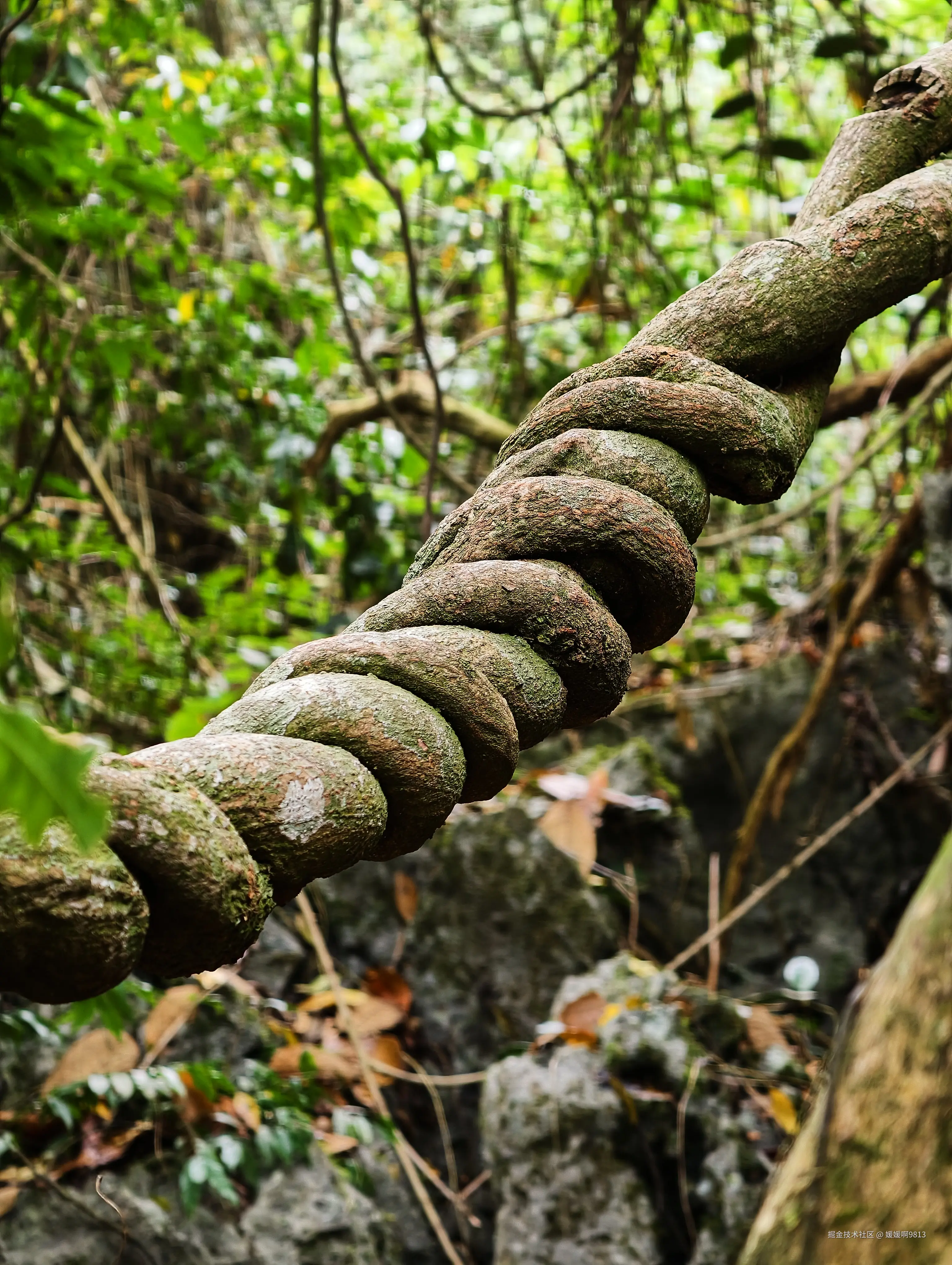 媛媛啊9813于2026-03-22 21:52发布的图片