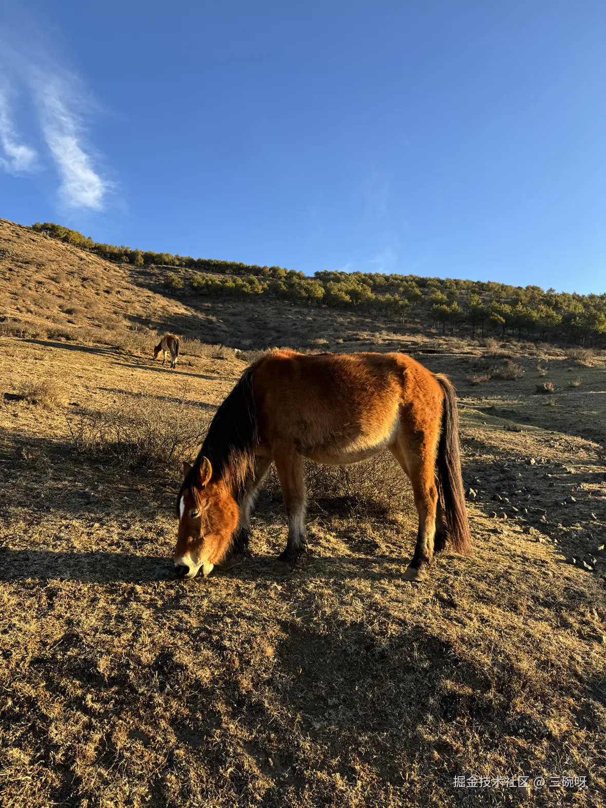 三碗呀于2026-03-05 13:33发布的图片
