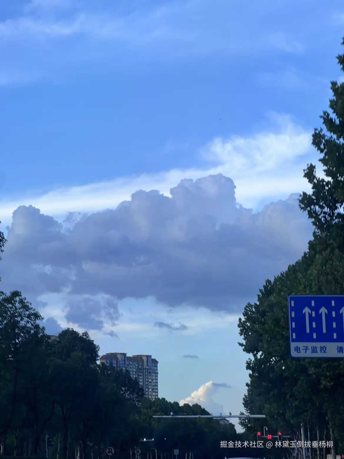 林黛玉倒拔垂杨柳于2025-07-01 03:13发布的图片