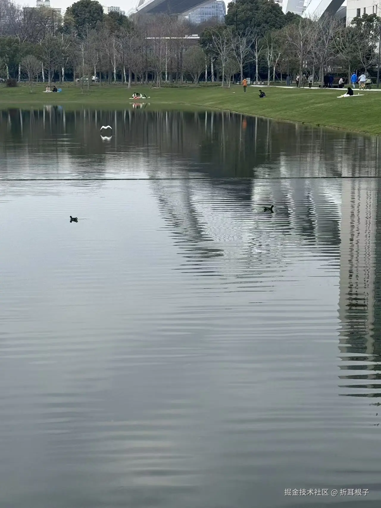 折耳根子于2026-03-23 15:11发布的图片