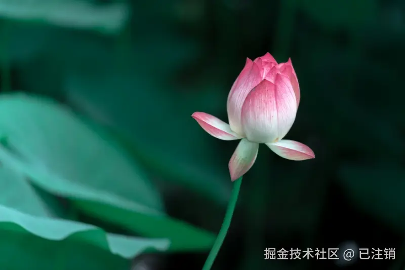 已注销于2025-07-07 12:07发布的图片