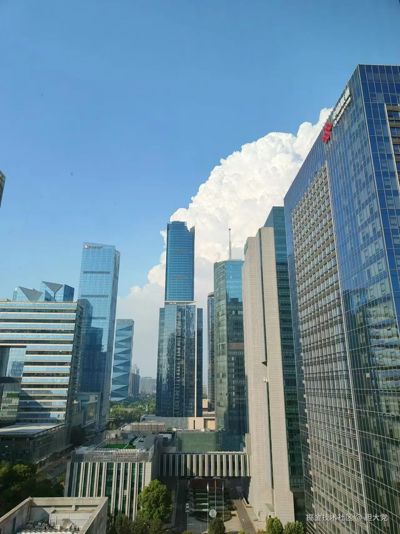 胆大党于2024-08-08 17:13发布的图片