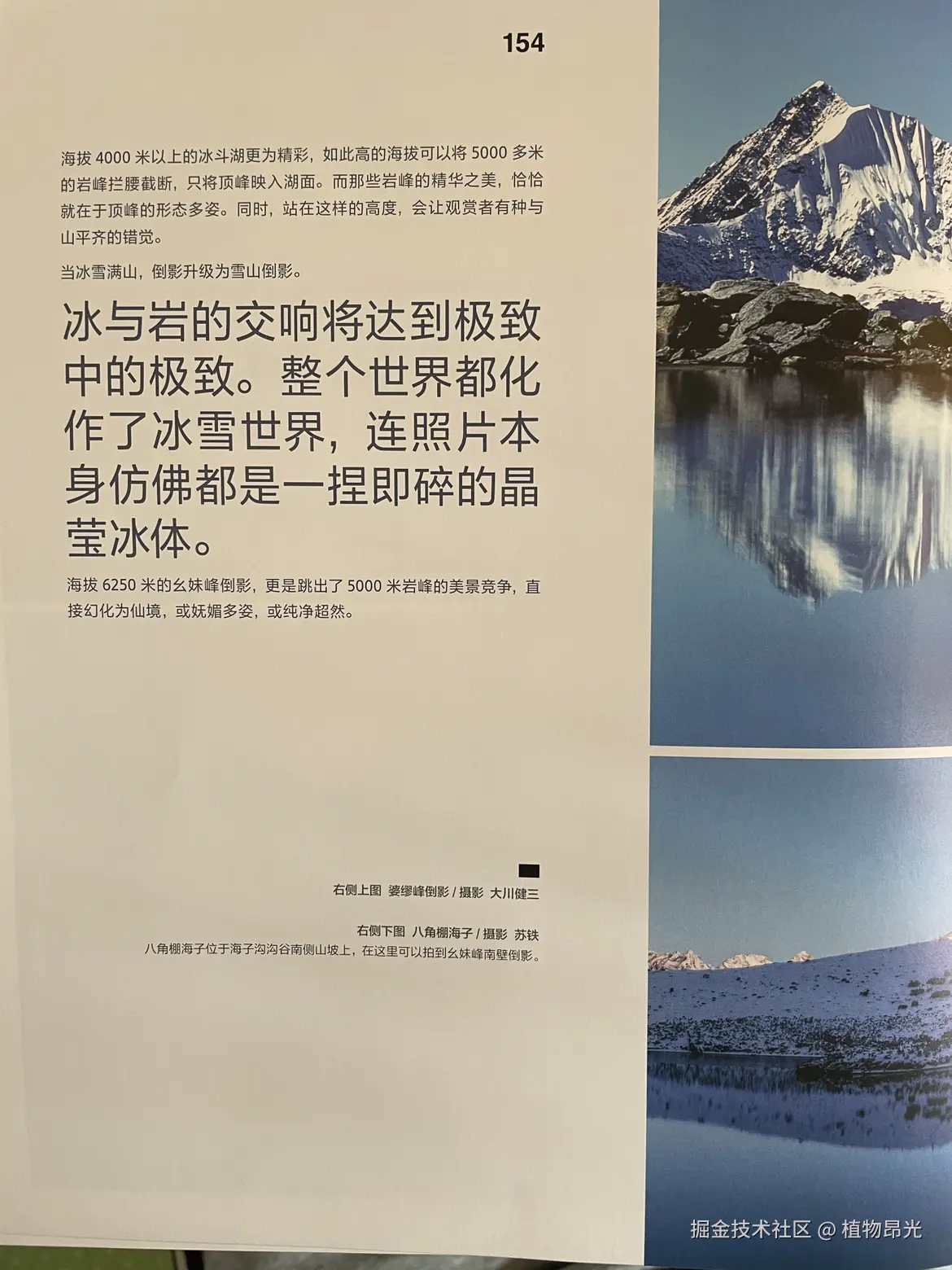 植物昂光于2026-03-15 11:13发布的图片