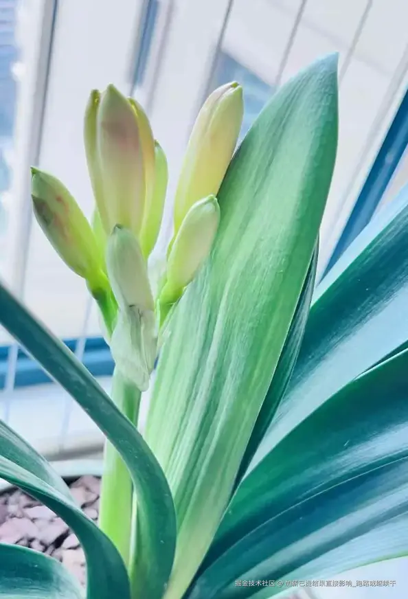 加薪已提结果直接影响_跑路或继续干于2025-02-26 14:14发布的图片