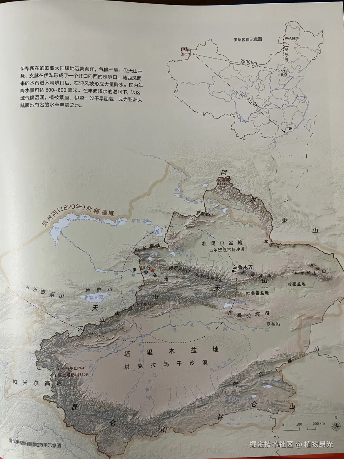 植物昂光于2026-03-18 21:15发布的图片