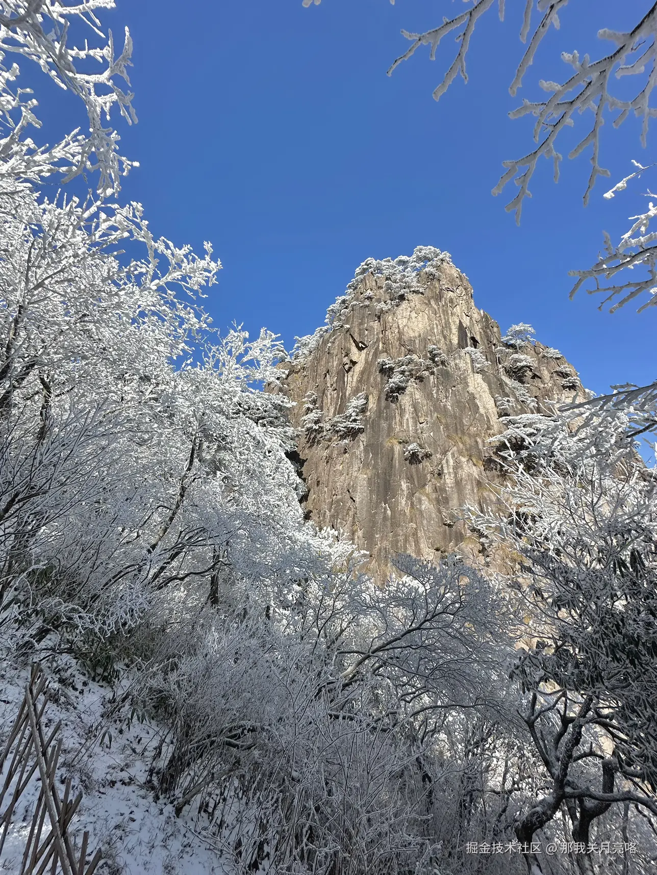 那我关月亮咯于2024-12-19 17:05发布的图片