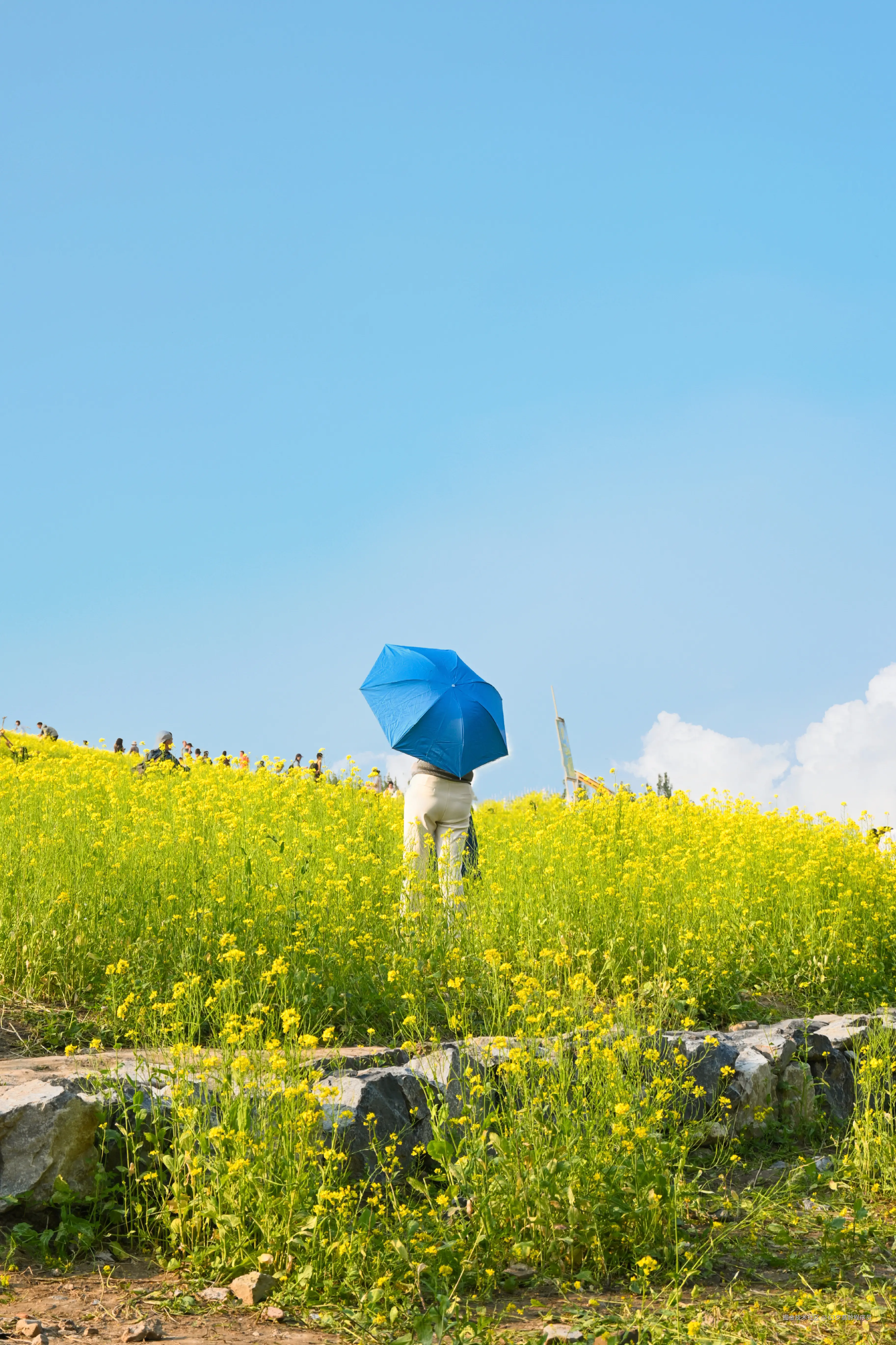 63岁高龄程序员于2025-05-12 09:50发布的图片
