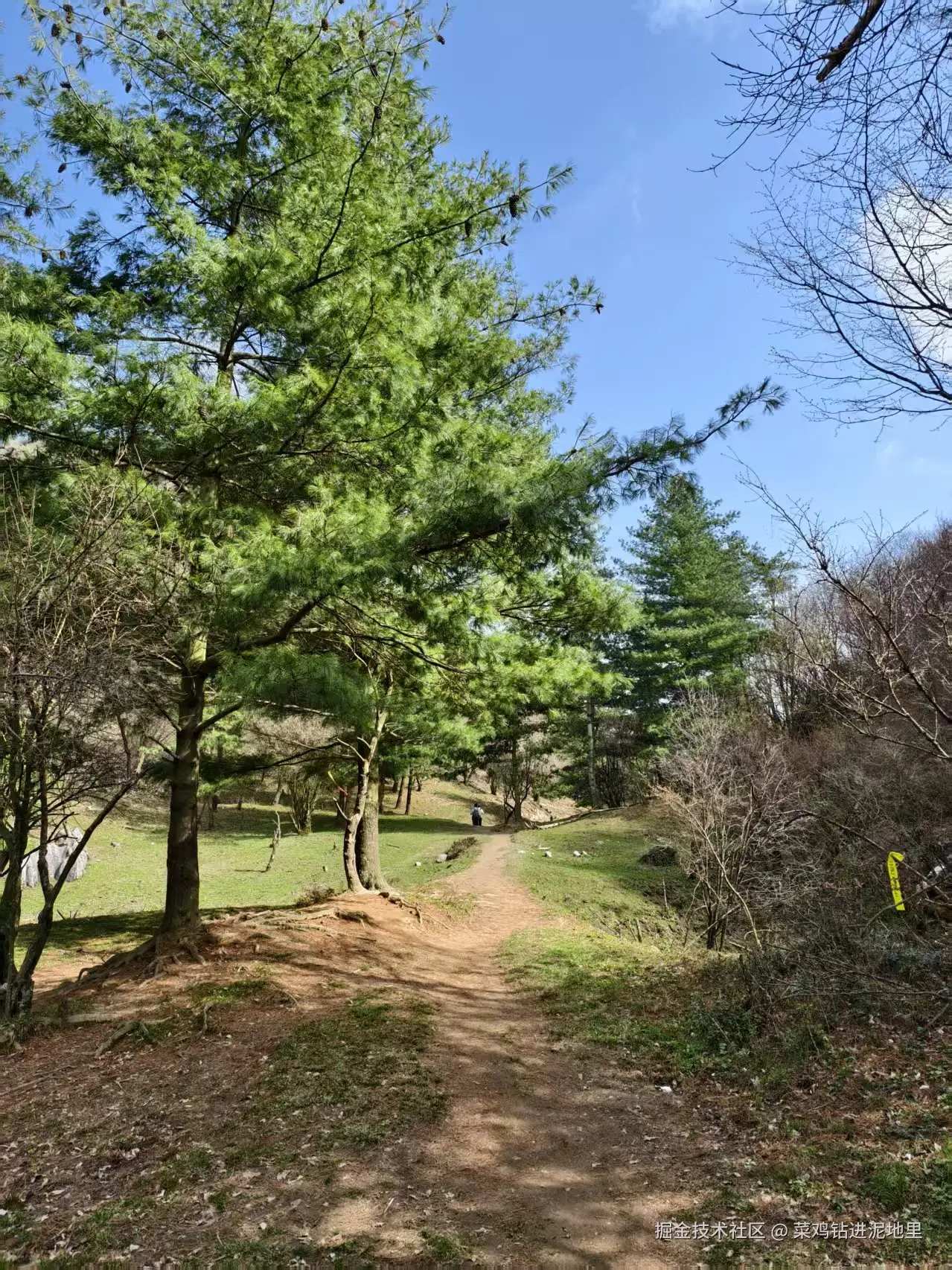 菜鸡钻进泥地里于2026-04-07 09:58发布的图片