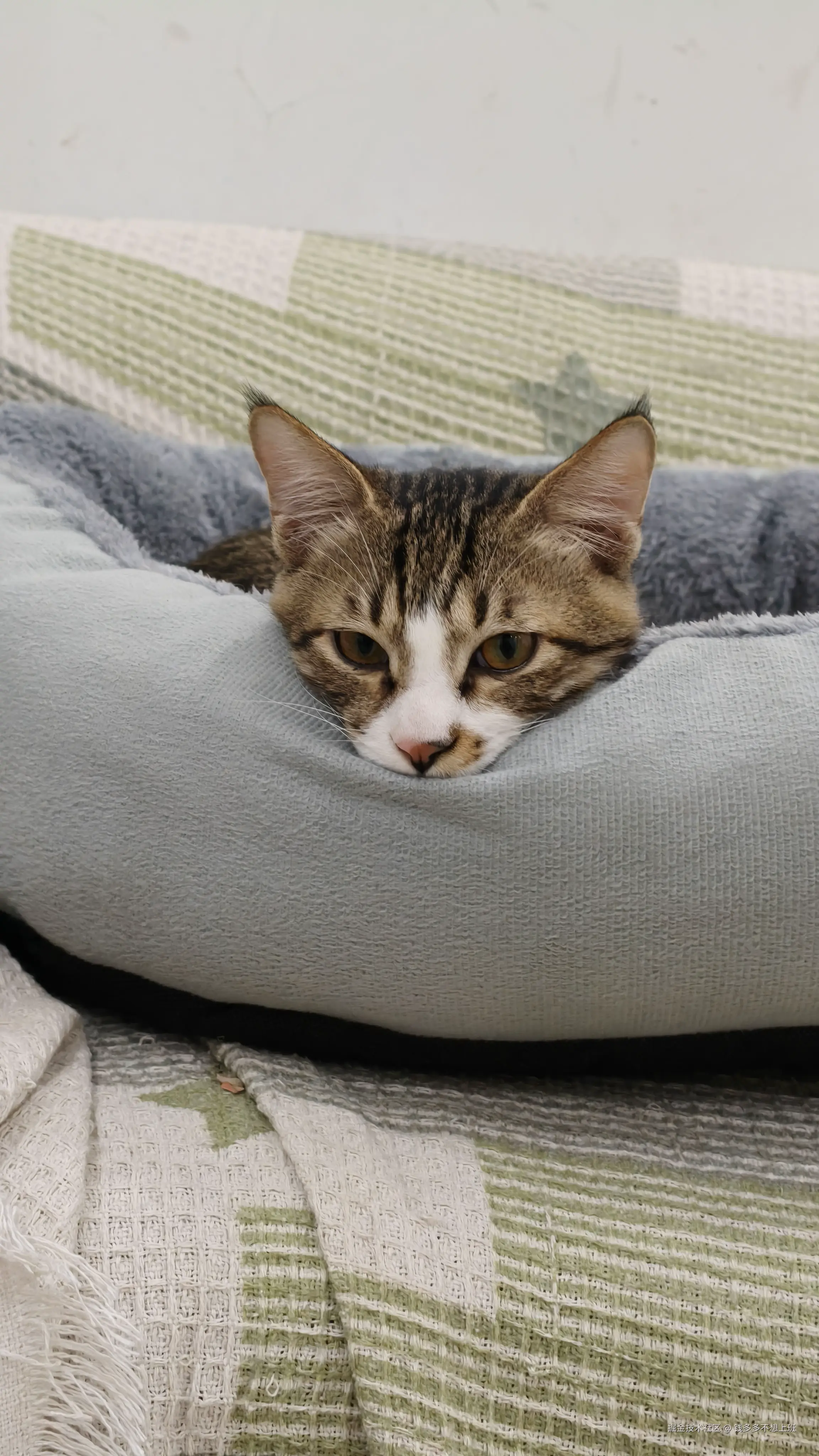 钱多多不想上班于2025-10-22 11:36发布的图片