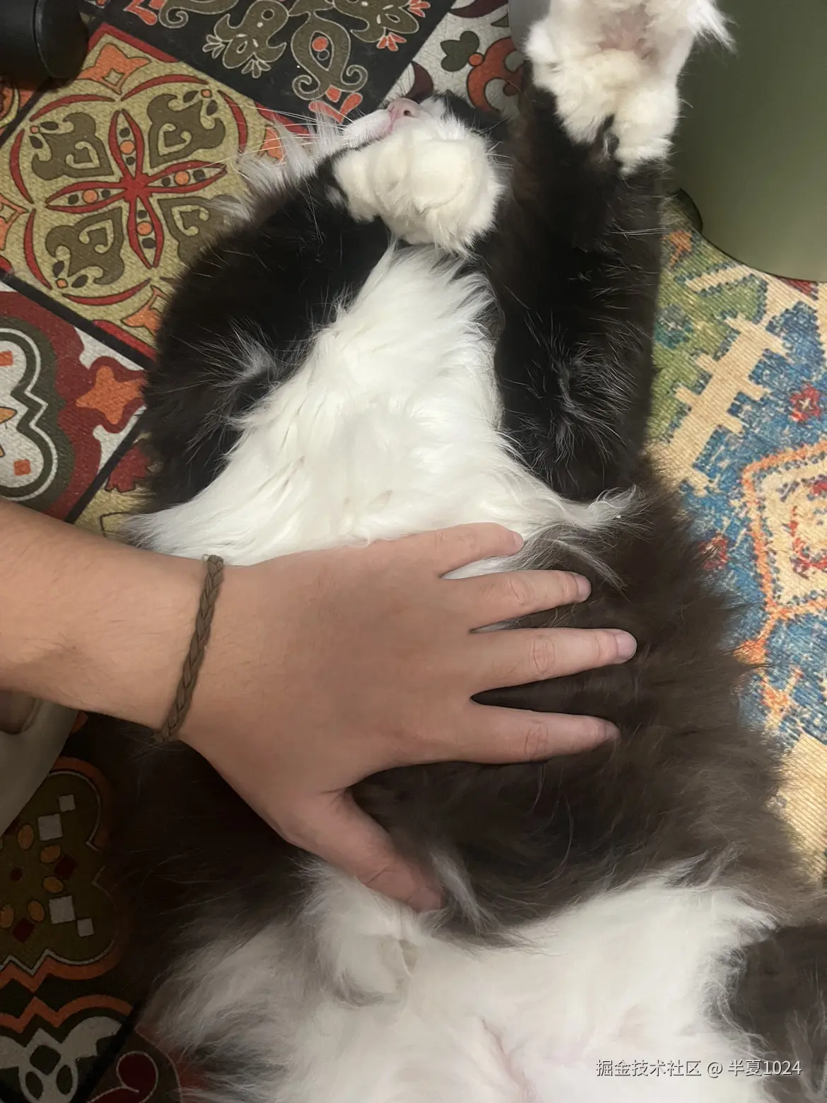 半夏1024于2025-01-08 11:44发布的图片