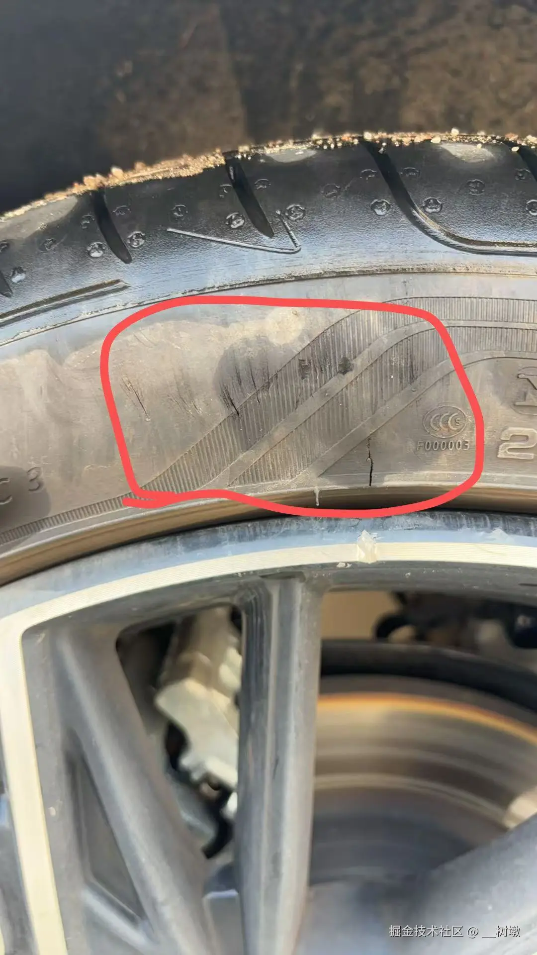 __树墩于2025-12-08 14:11发布的图片