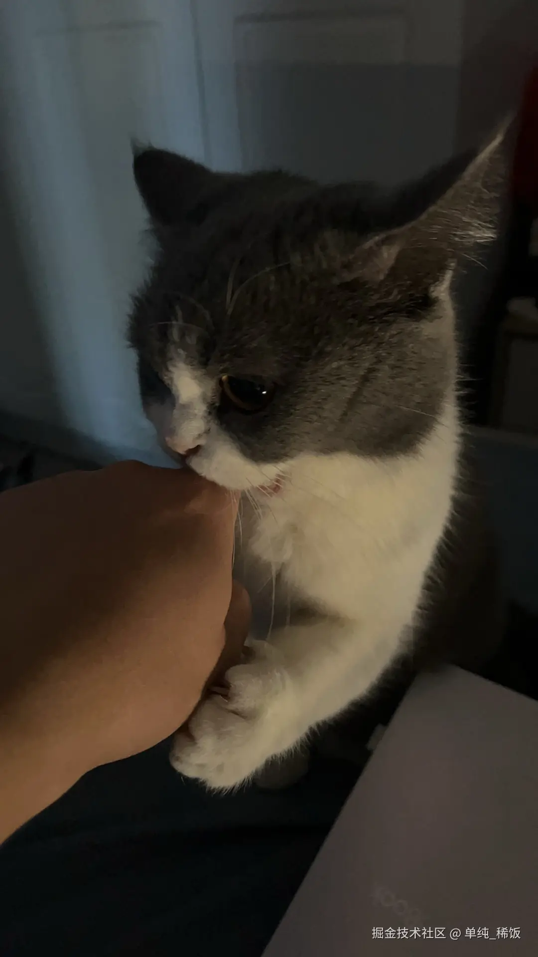 单纯_稀饭于2024-11-29 17:47发布的图片