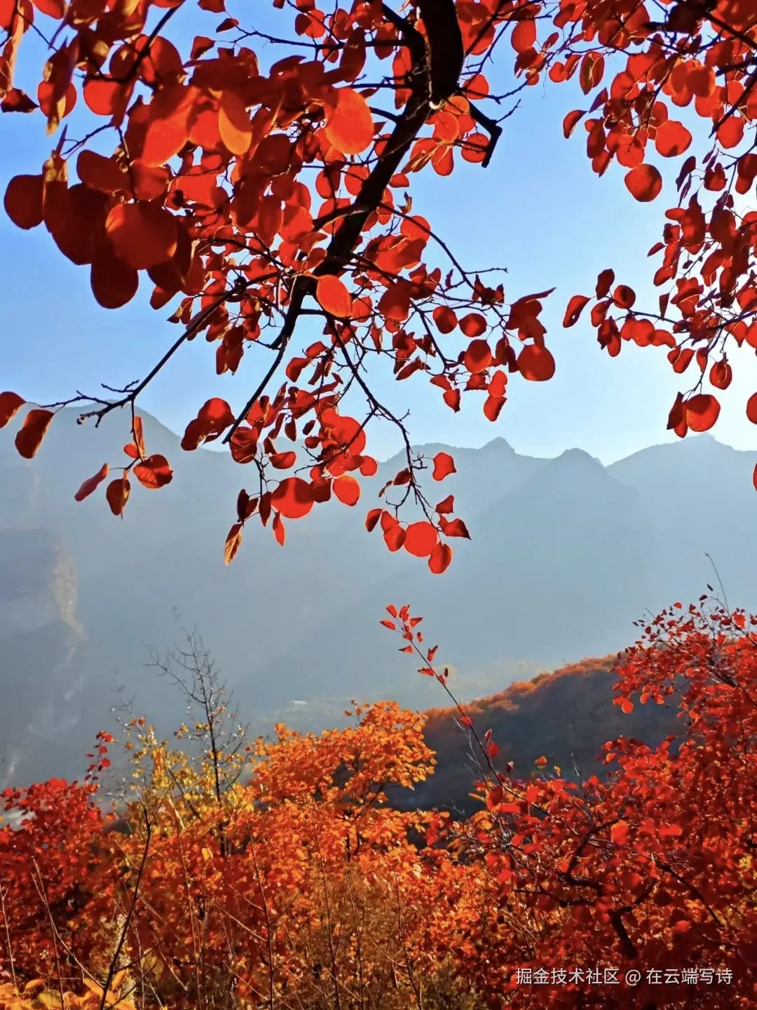 在云端写诗于2025-10-27 02:27发布的图片