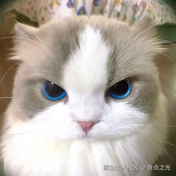 奇点之光于2025-04-11 16:27发布的图片