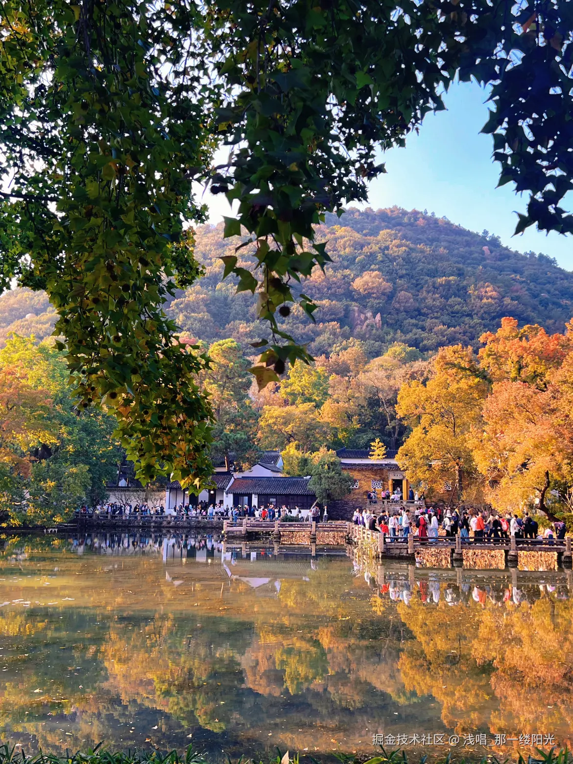 浅唱_那一缕阳光于2025-11-18 10:05发布的图片