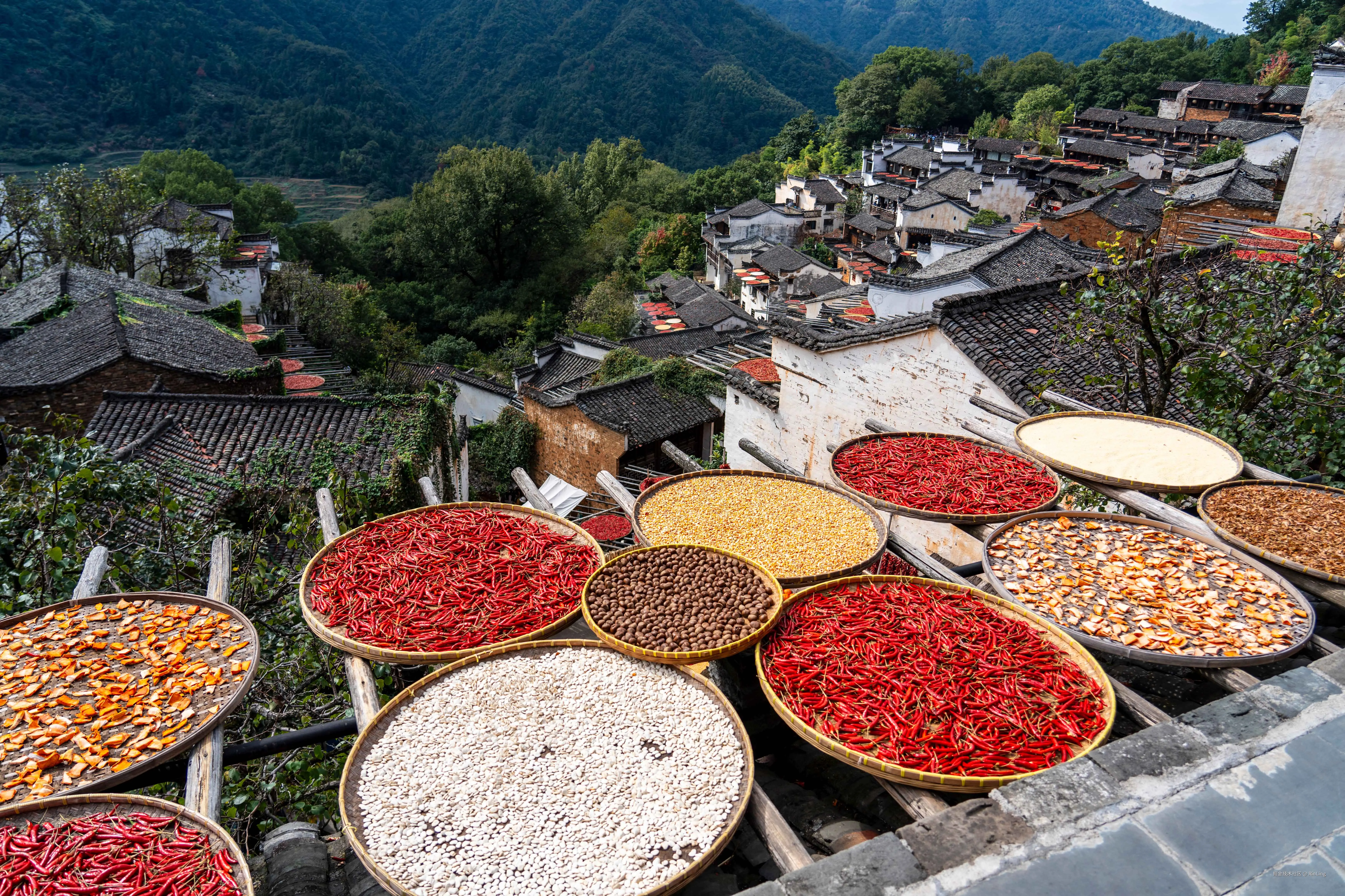 RinLing于2025-10-27 10:49发布的图片