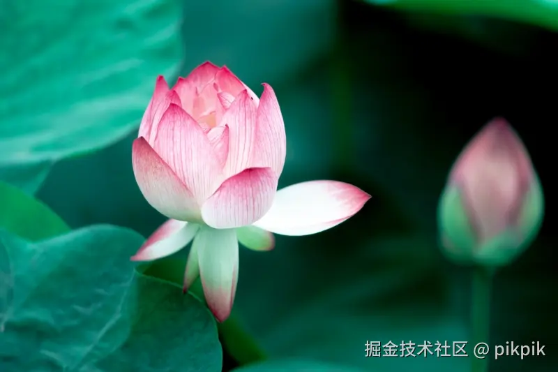 pikpik于2025-07-07 12:07发布的图片