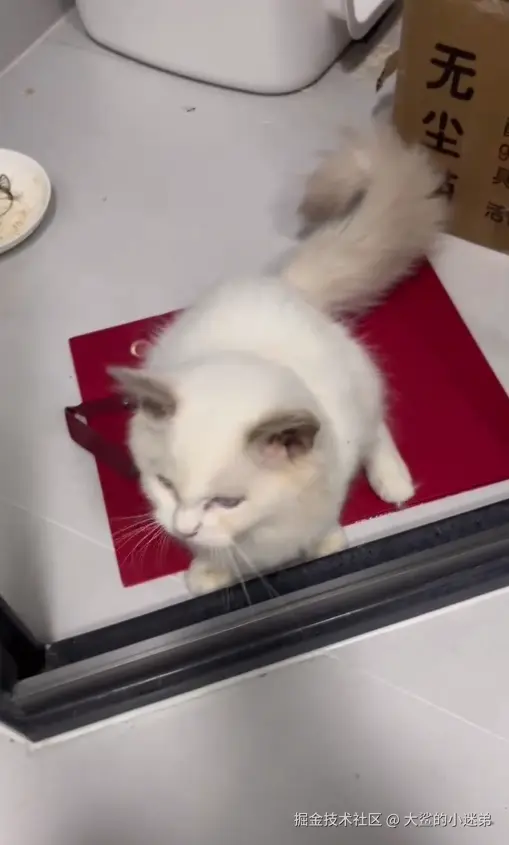 大鲨的小迷弟于2024-10-14 12:00发布的图片