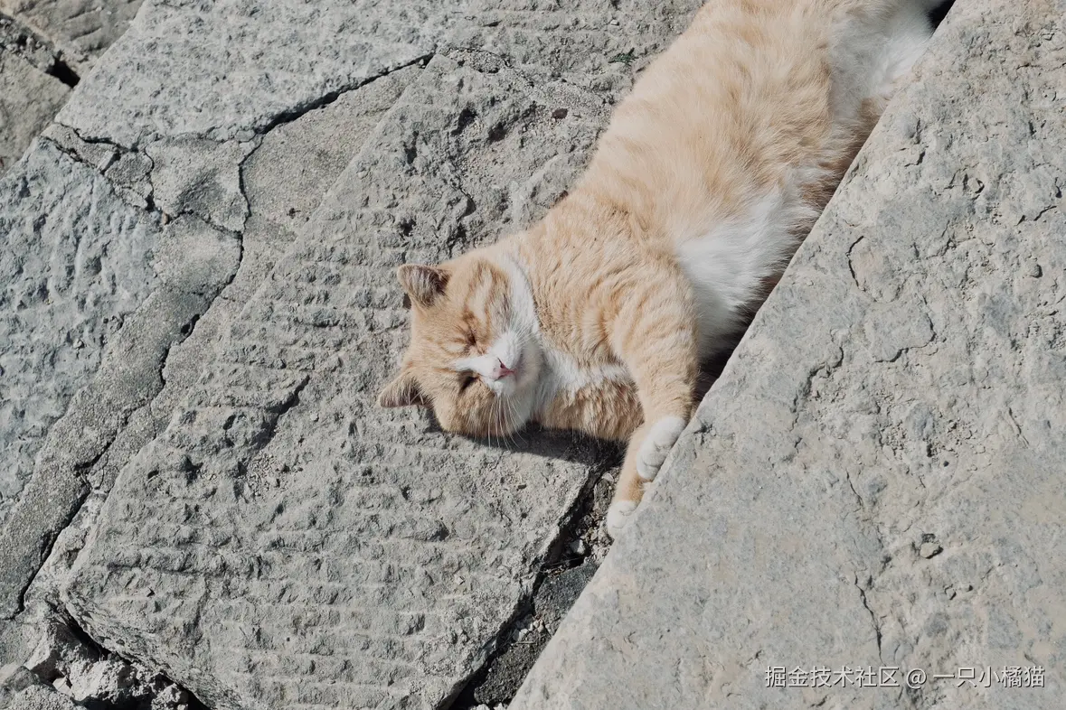 一只小橘猫于2024-11-17 08:56发布的图片