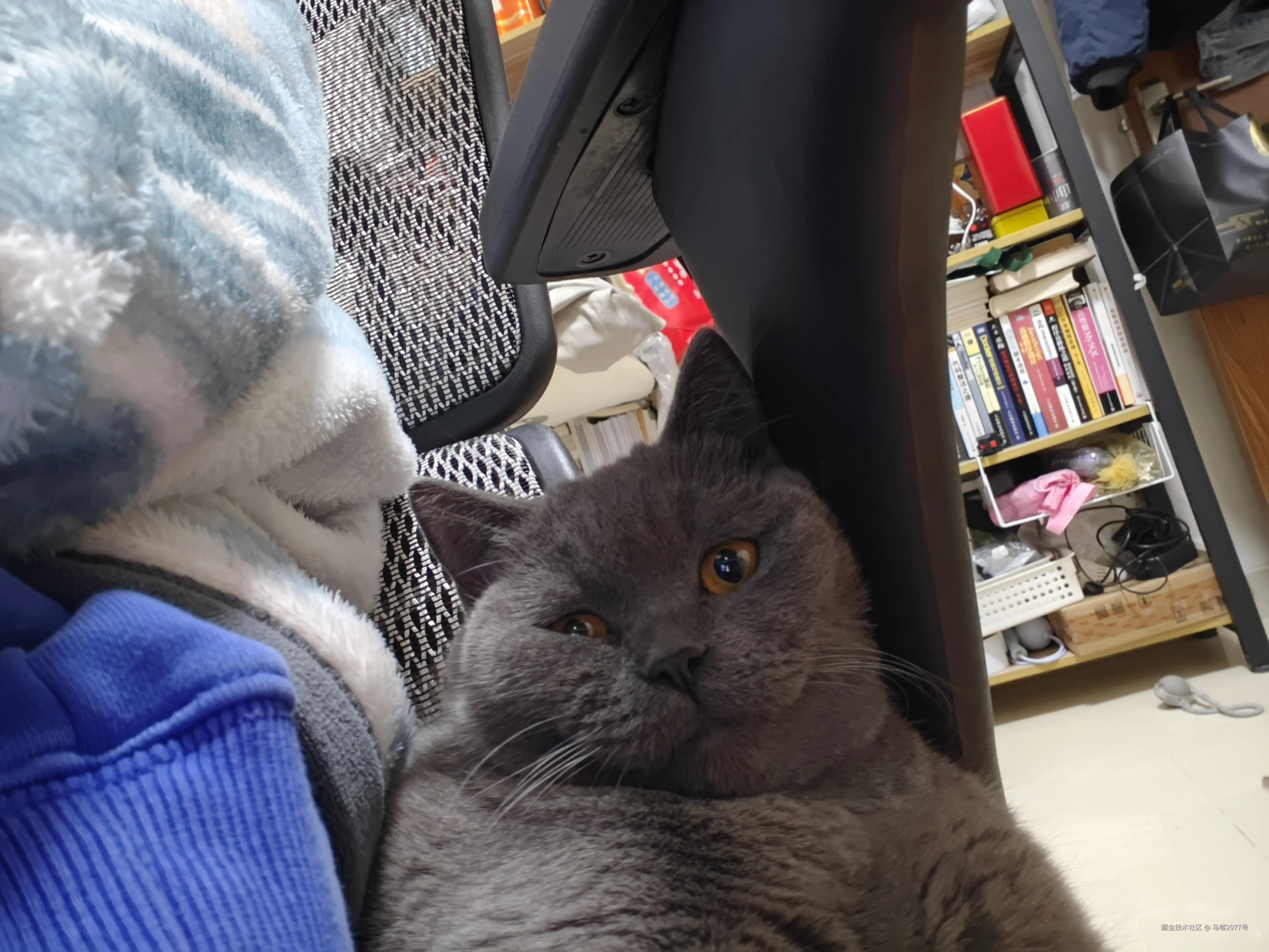 马喽2077号于2026-01-07 12:30发布的图片