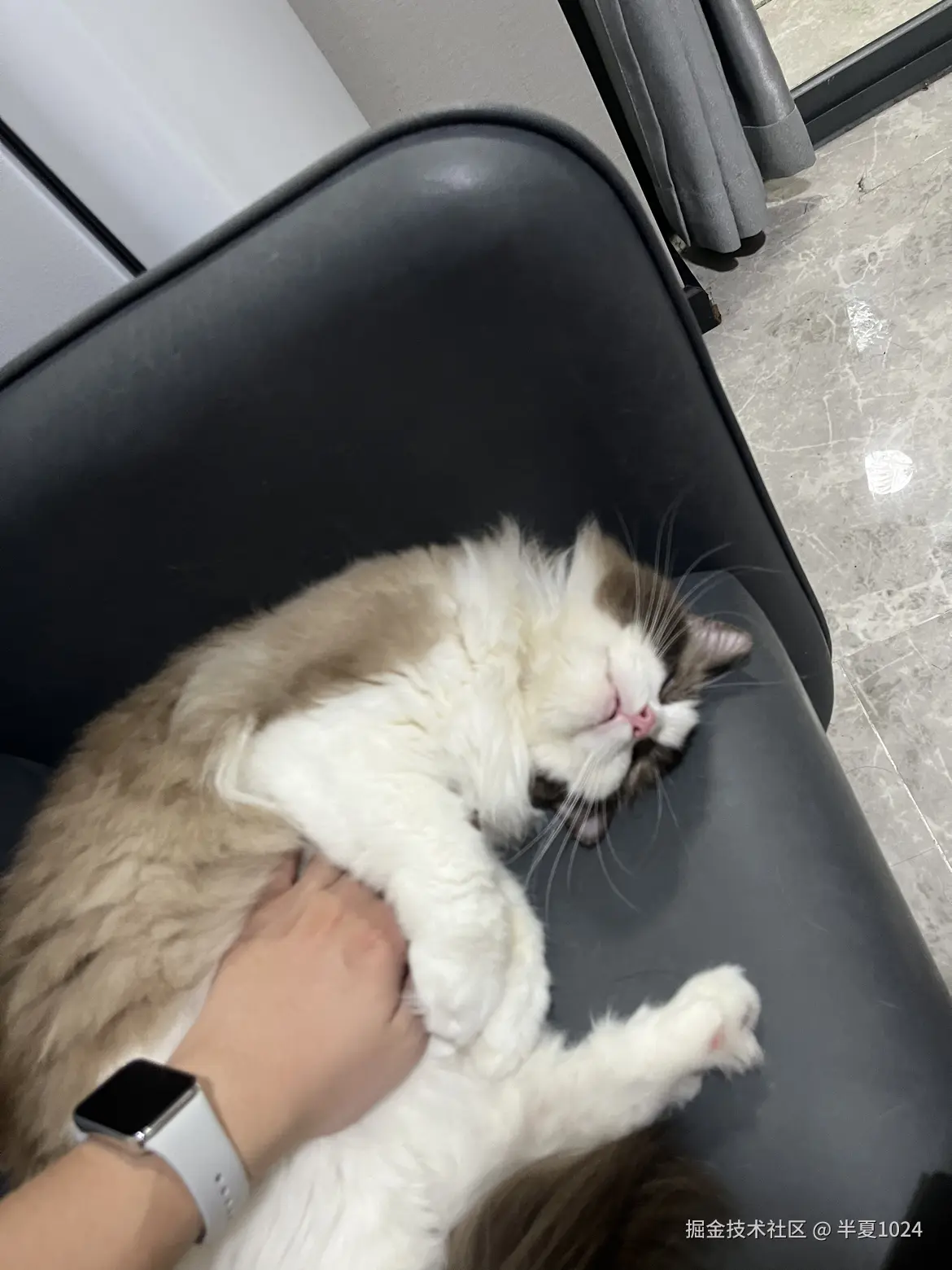 半夏1024于2024-08-05 09:56发布的图片