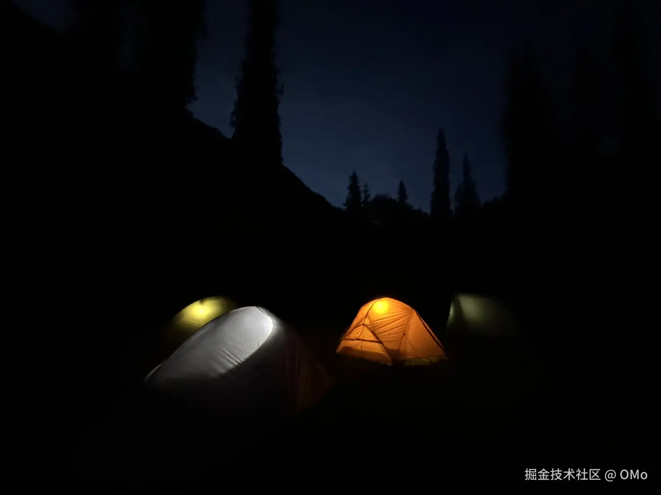 OMo于2026-01-23 01:58发布的图片