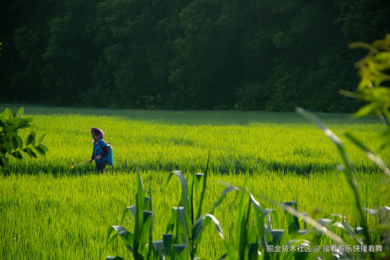 接着奏乐快接着舞于2024-09-26 00:54发布的图片