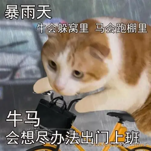不关小白白的事于2024-08-13 17:07发布的图片
