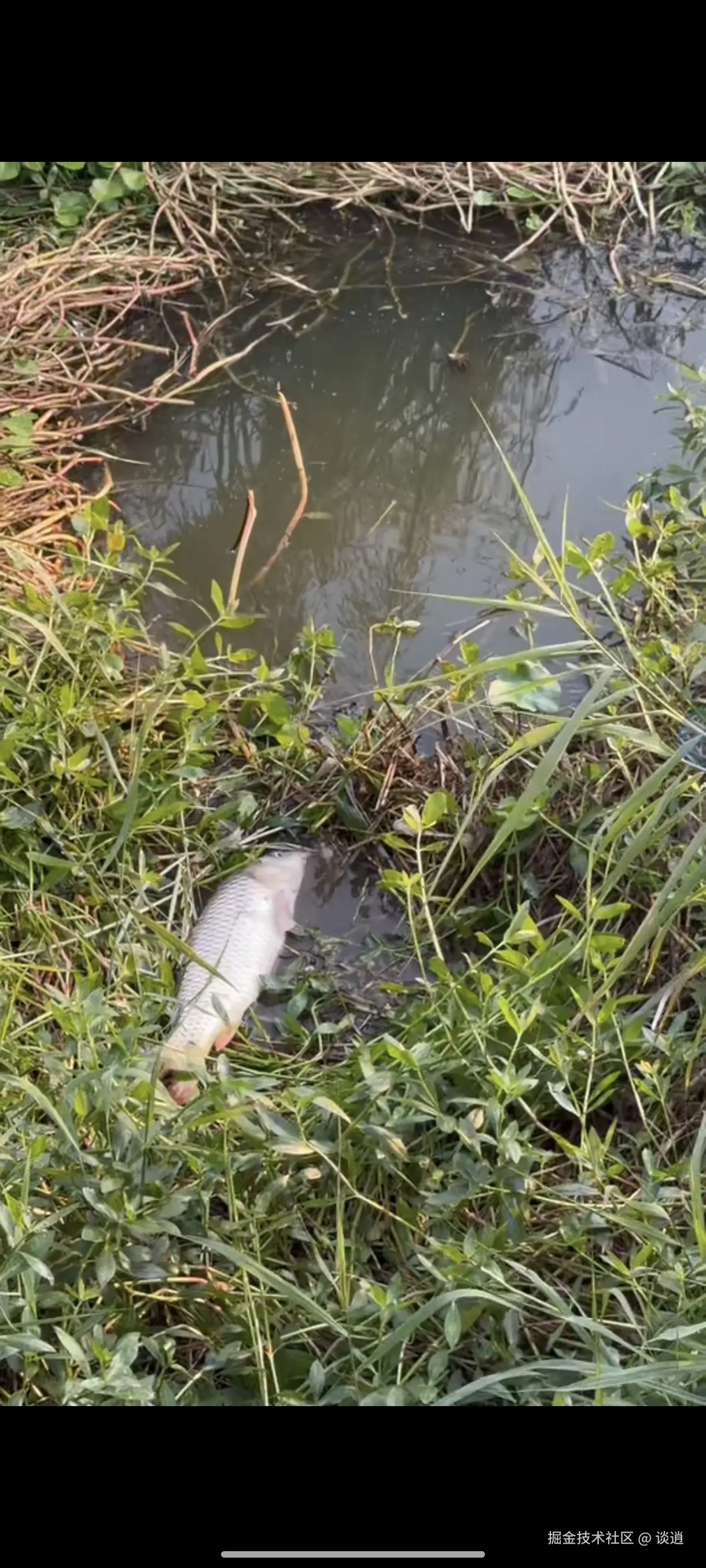 谈逍于2025-11-01 14:14发布的图片