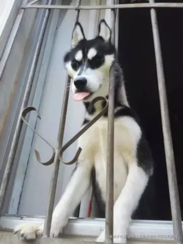 柳小里畅游虚拟世界的挖掘机于2025-11-27 02:58发布的图片